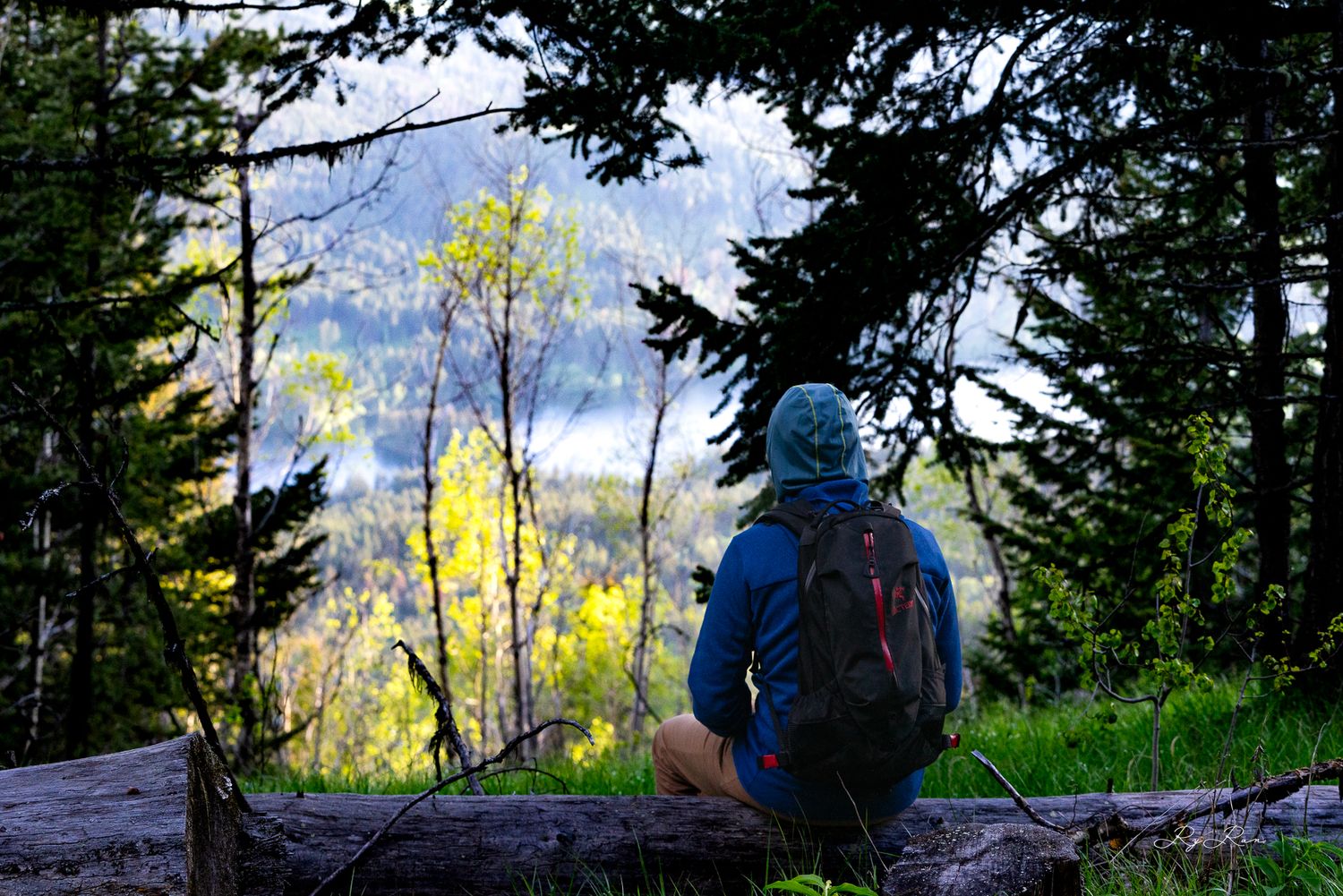 A hike in the forest photo shoot