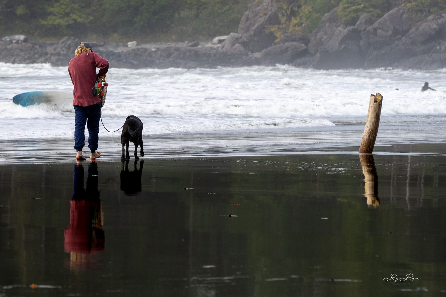 Person in red jacket walking with black dog on reflective beach near driftwood.
