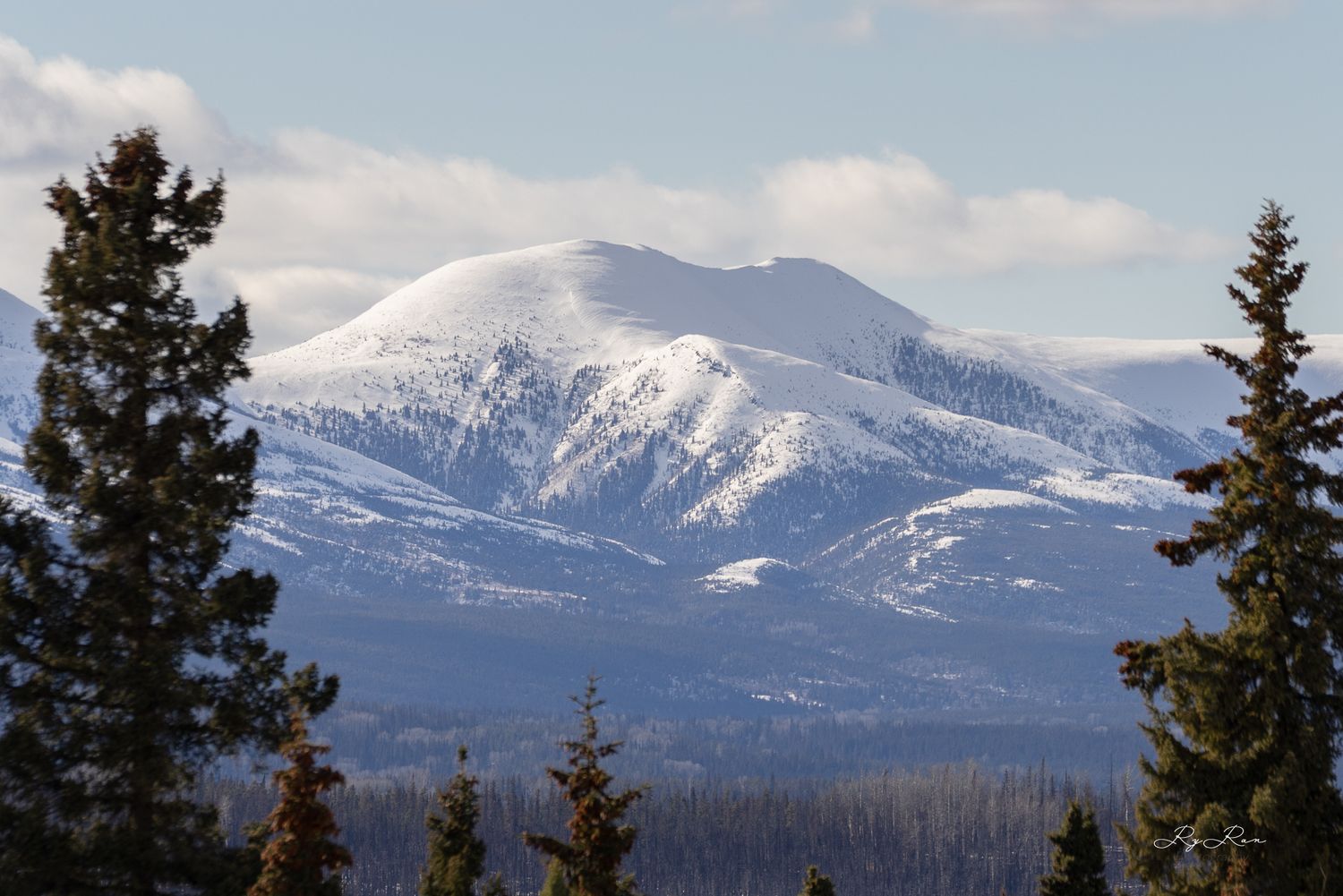Snow-capped mountain peak rises above evergreen forest under partly cloudy skies.