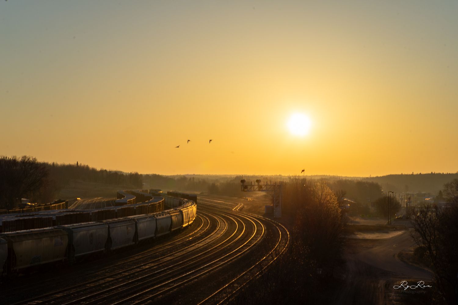 Golden sunset over train tracks with silhouetted birds flying in the distance.