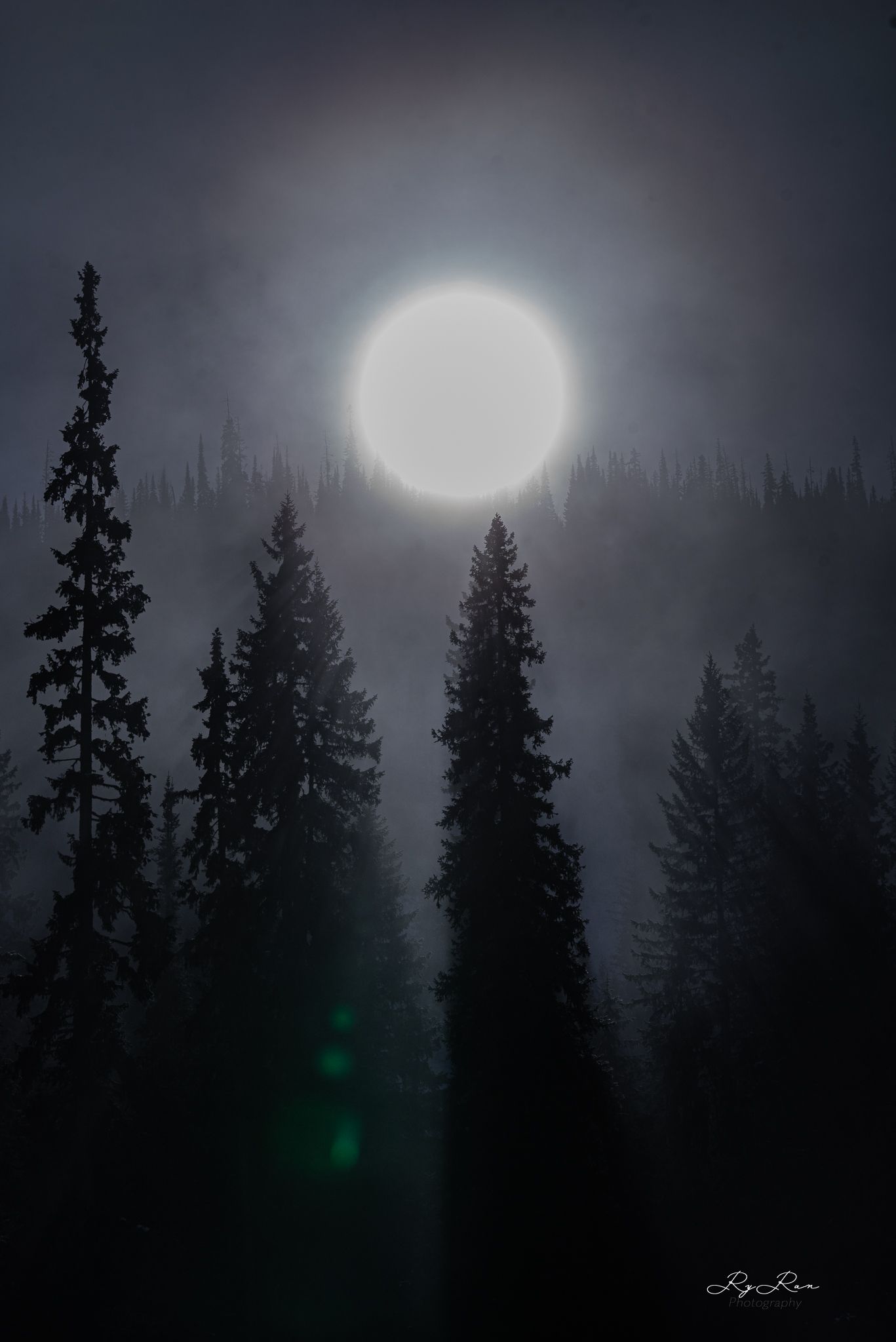 Full moon casts ethereal glow through silhouetted evergreen forest on misty night with green lens flare effect.