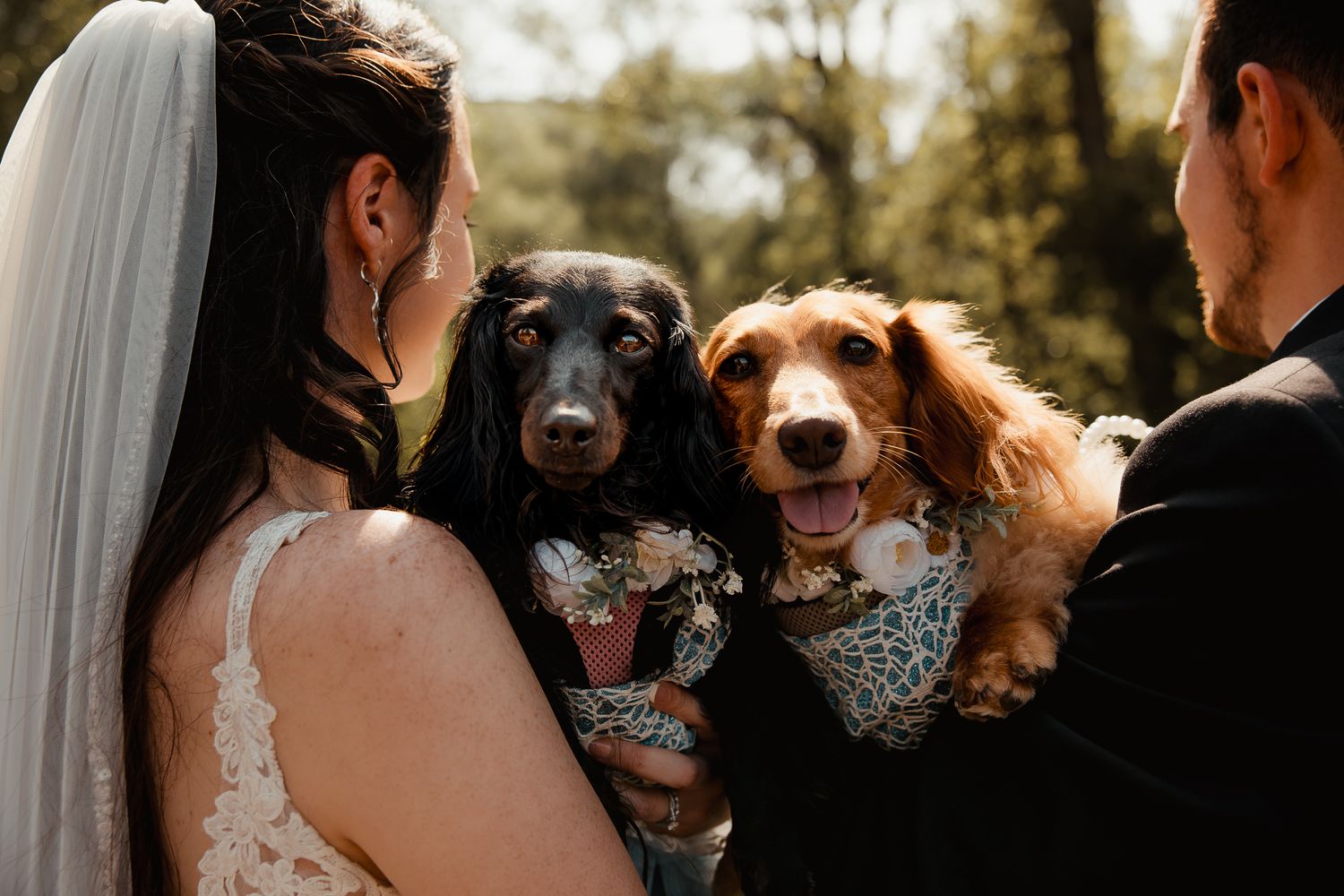 Two happy dogs wearing floral bandanas pose with their humans during an outdoor wedding ceremony photo.