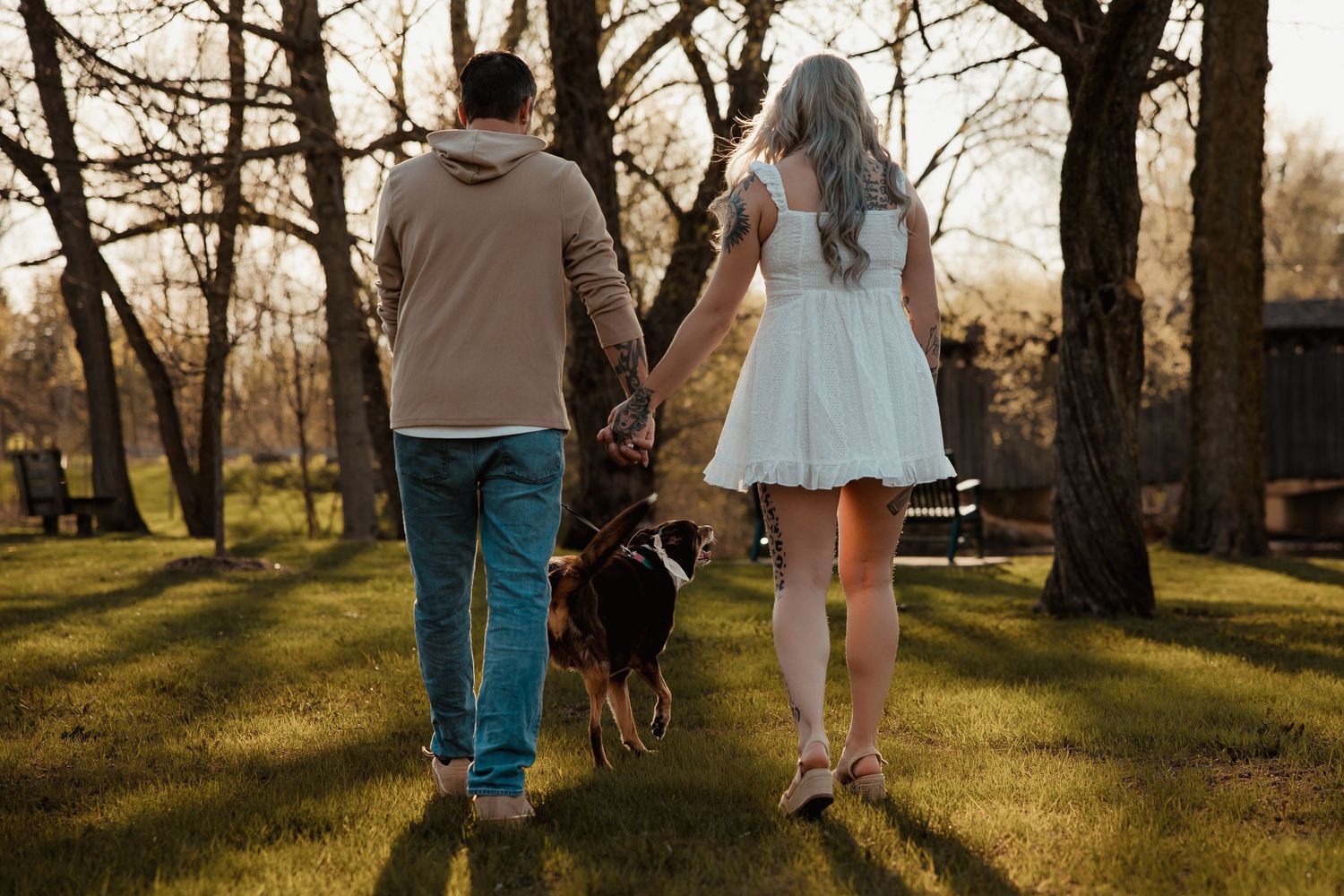 Couple walking hand in hand with their dog through a sunny park with bare trees.