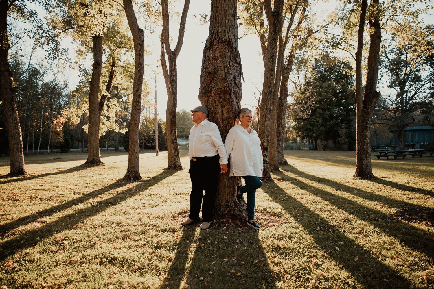 Couple walks together among tall trees casting long shadows in sunlit park. couples engagement