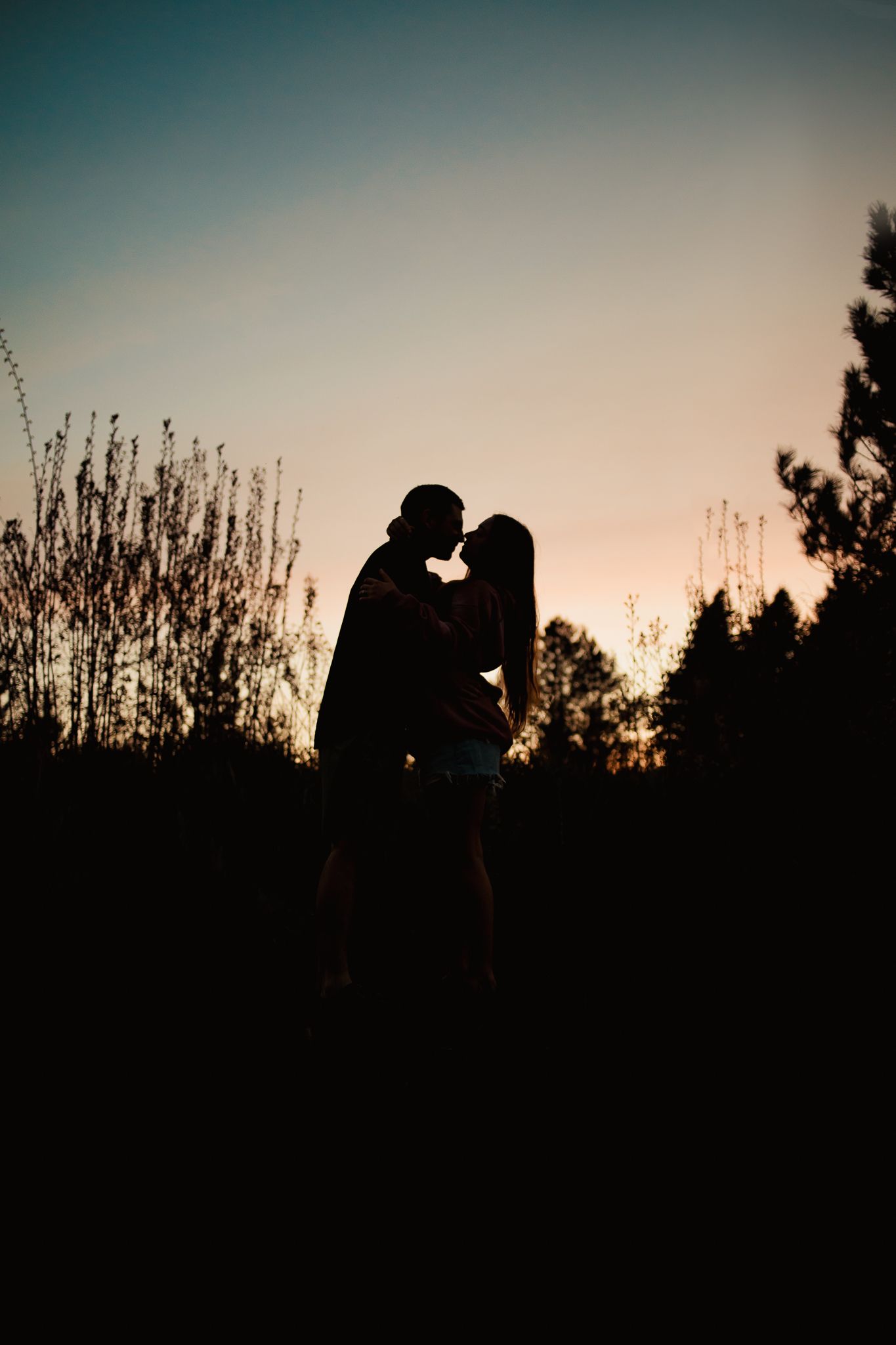 A silhouette of two figures embracing against a dusky sunset sky with trees and foliage in the background.
couple engagement
