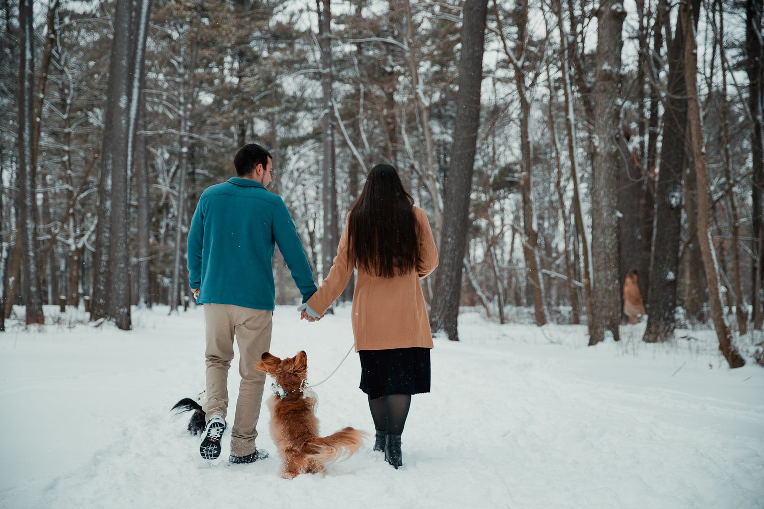 A couple walks their dog through a snowy winter forest while holding hands. couples engagement
