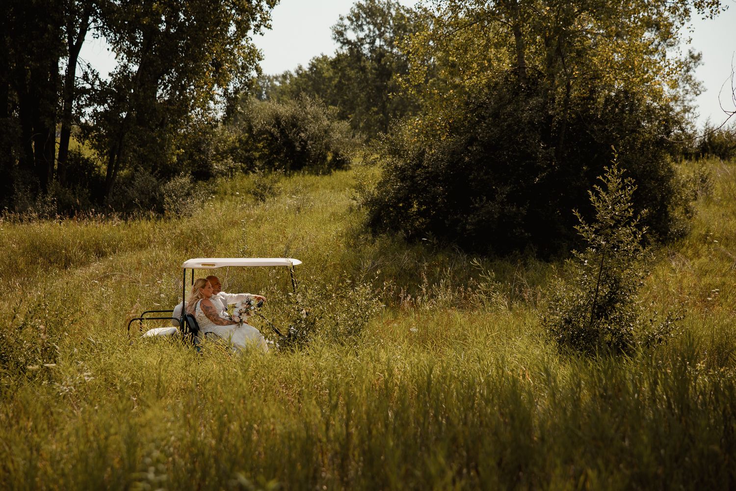 Someone enjoys a serene picnic in a golden summer meadow surrounded by tall grass and trees.