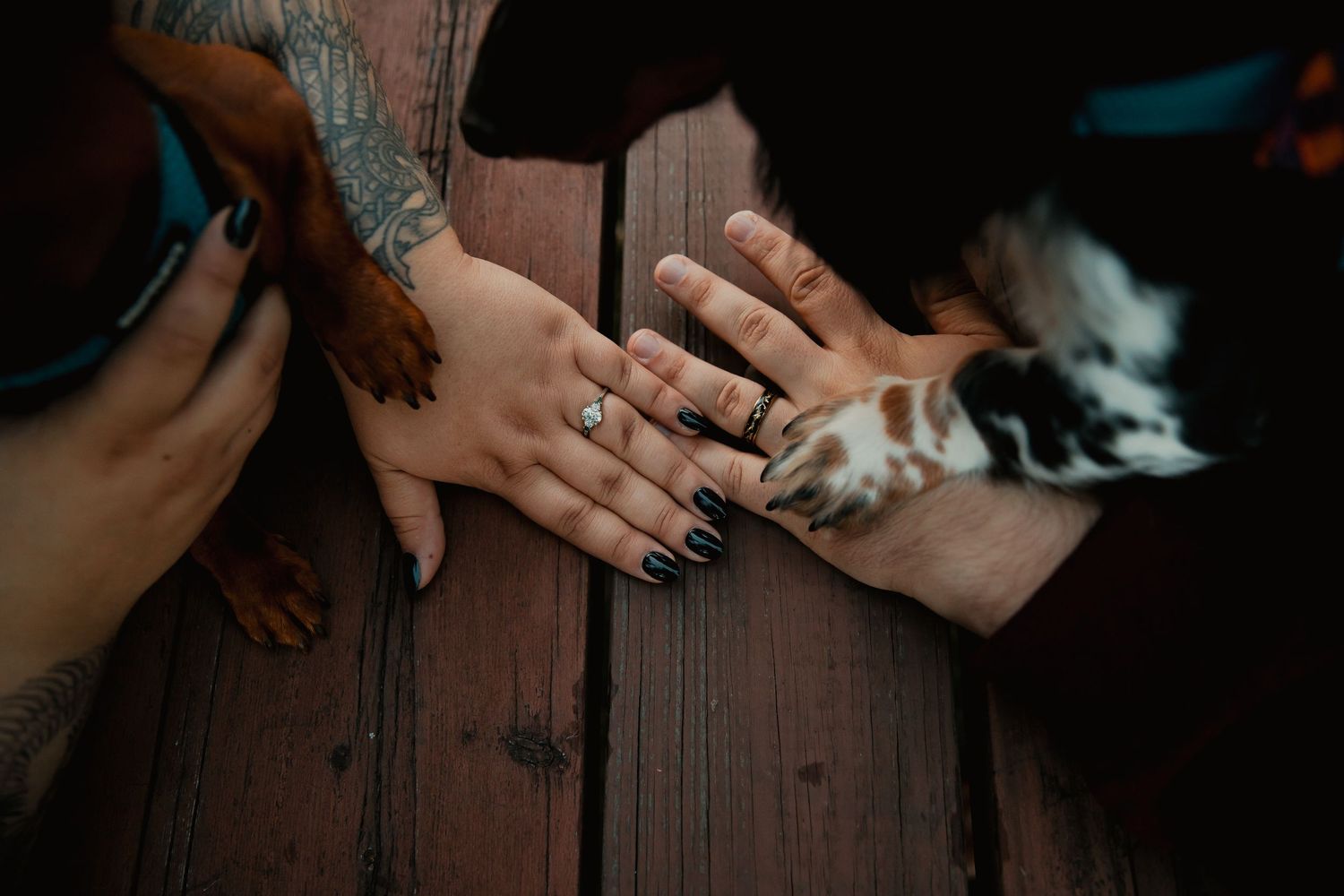 Close-up of hands with engagement ring and wedding bands resting on wooden deck. couples engagement