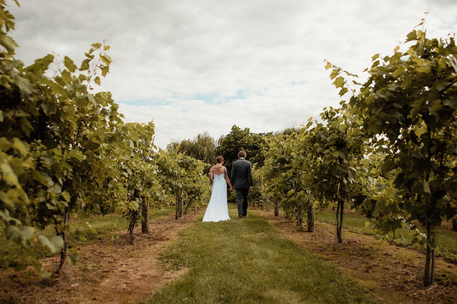 A couple walks through a scenic vineyard on a sunny day with rows of grapevines stretching into the distance.