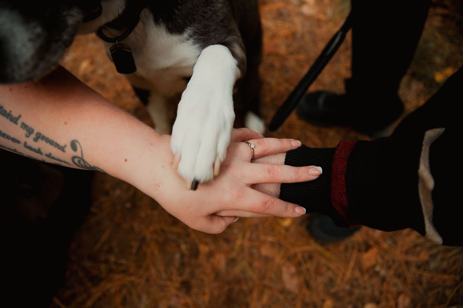 A close-up shot of a dog's paw being held by a tattooed hand against a rustic background. couples engagement