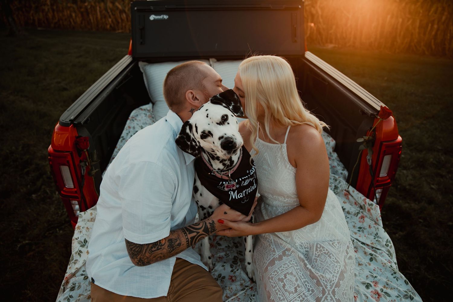 A couple shares an intimate moment in a truck bed at sunset with their Dalmatian dog. wedding engagement couple