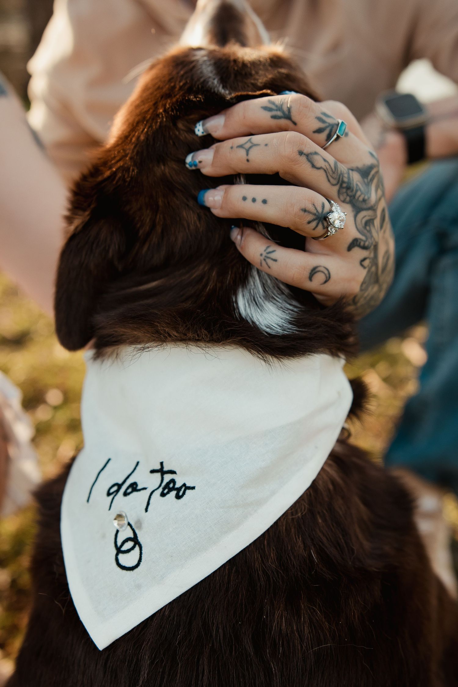 Close-up of a dog wearing an I do too white bandana, with tattooed hands of owner petting its head.