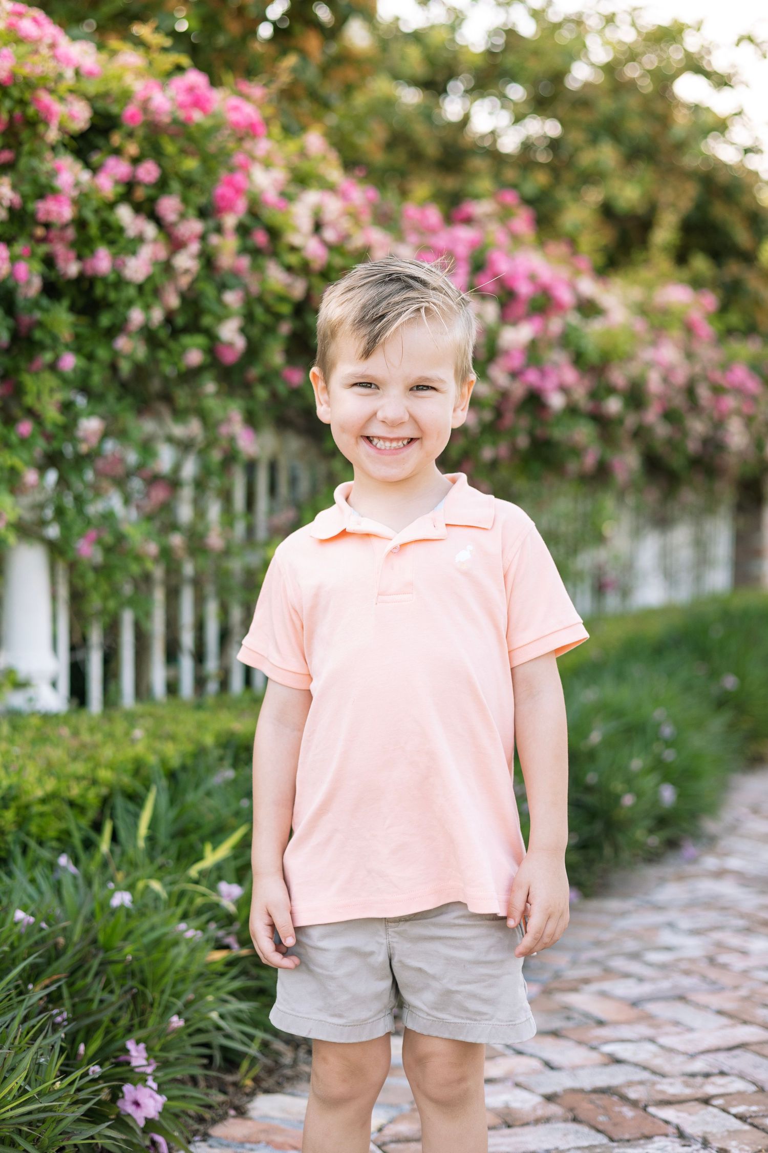 Smiling young boy in pink polo shirt and gray shorts standing on brick path with pink flowering bushes.