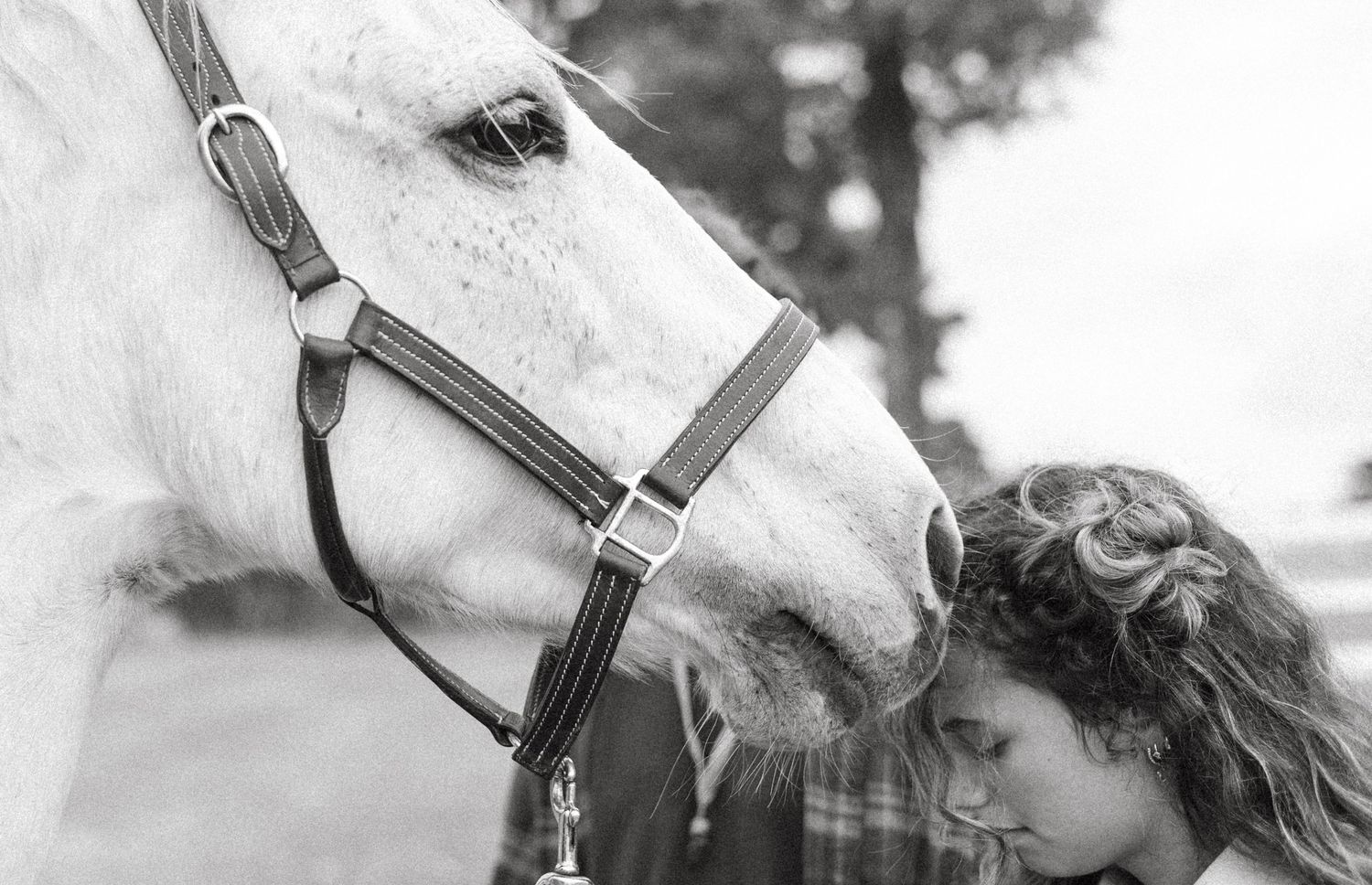 Black and white photo of a woman tenderly touching foreheads with a white horse wearing a bridle.