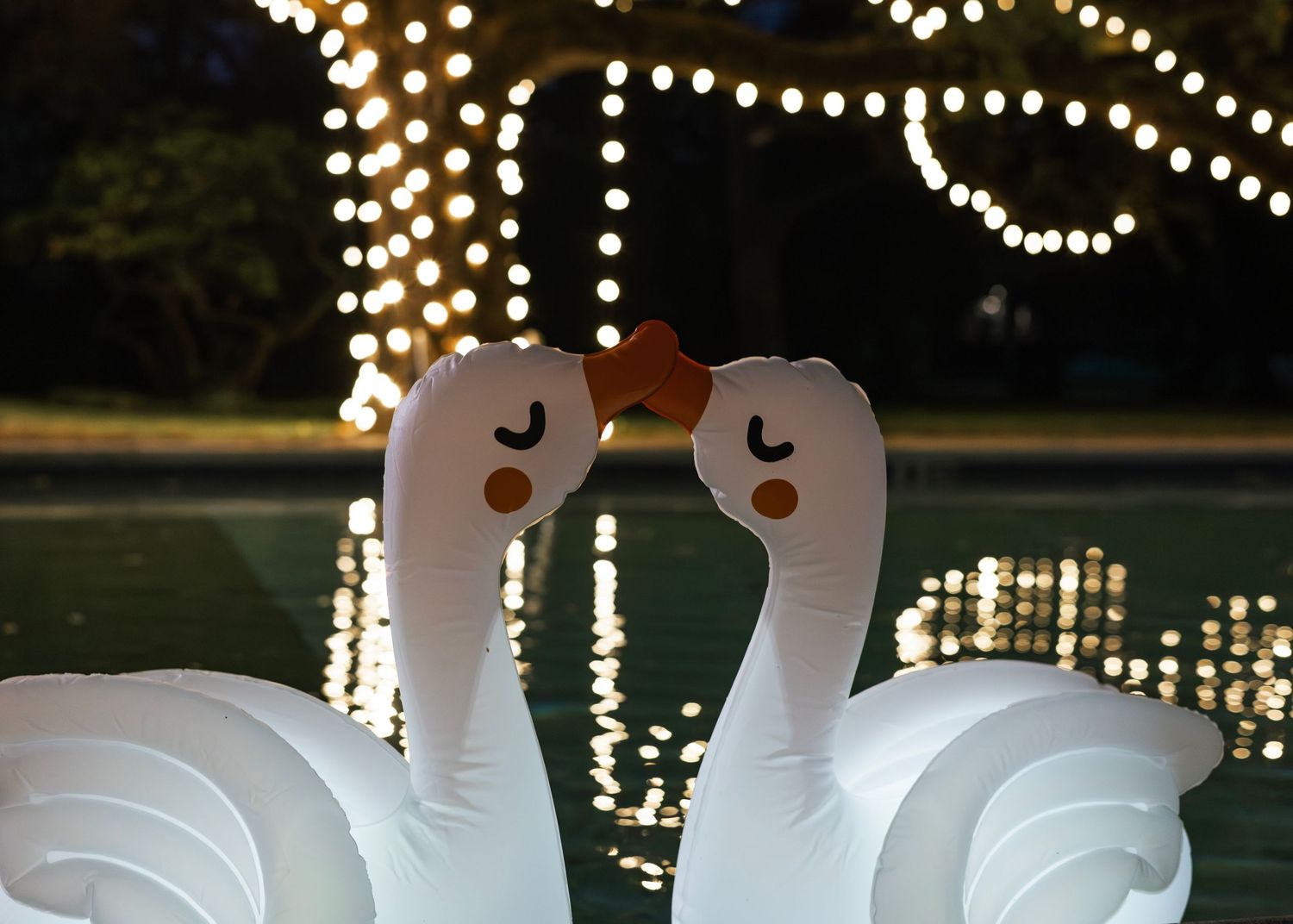 A string of glowing white lights create a magical outdoor evening ambiance with illuminated swan decorations.