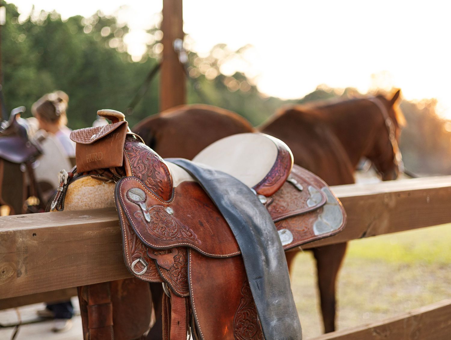 Western leather saddle resting on a wooden fence rail with horses grazing in a sunlit pasture background.