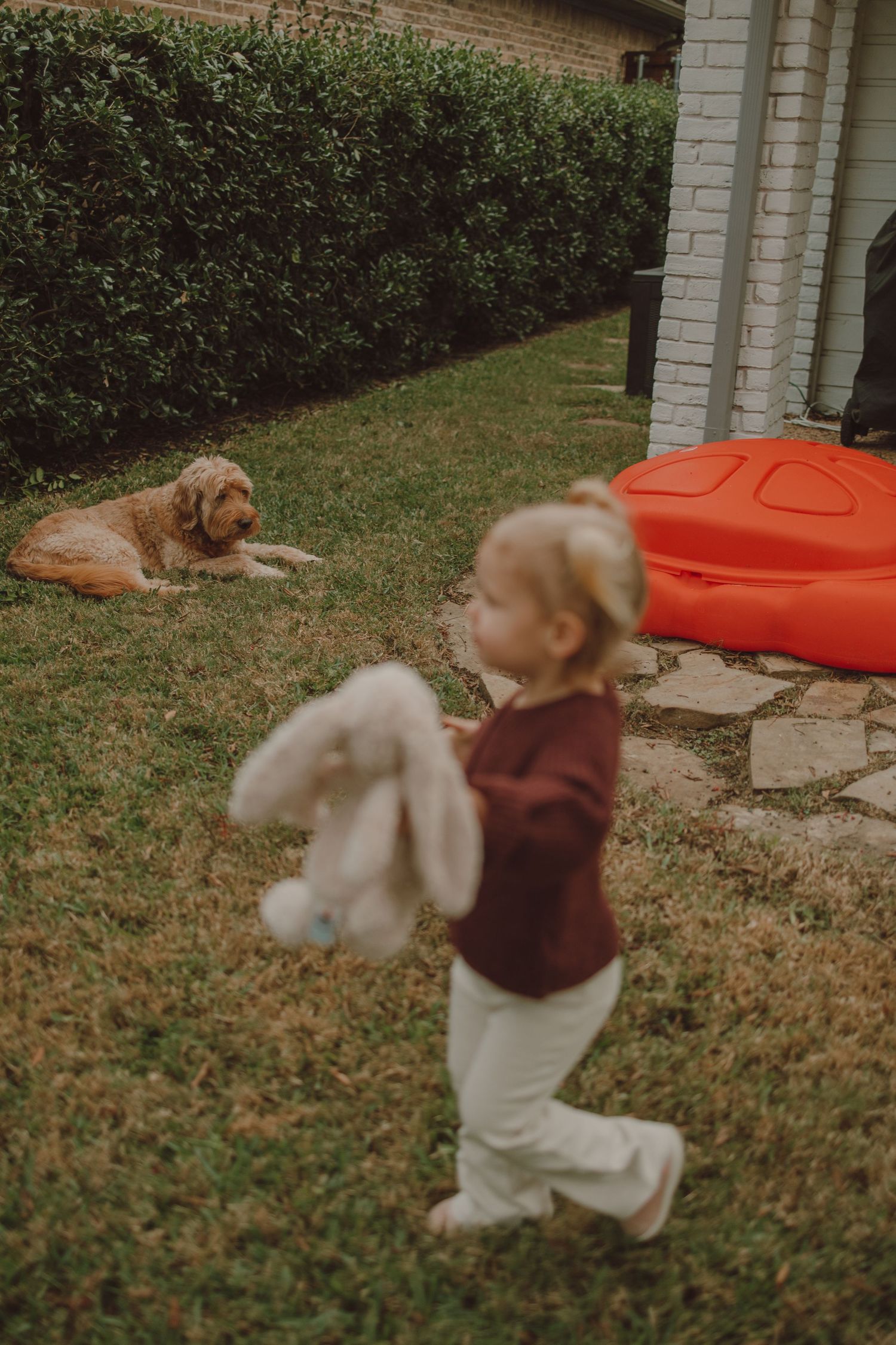 lifestyle at home session candid real life moments documented cozy Dallas texas mesquite texas