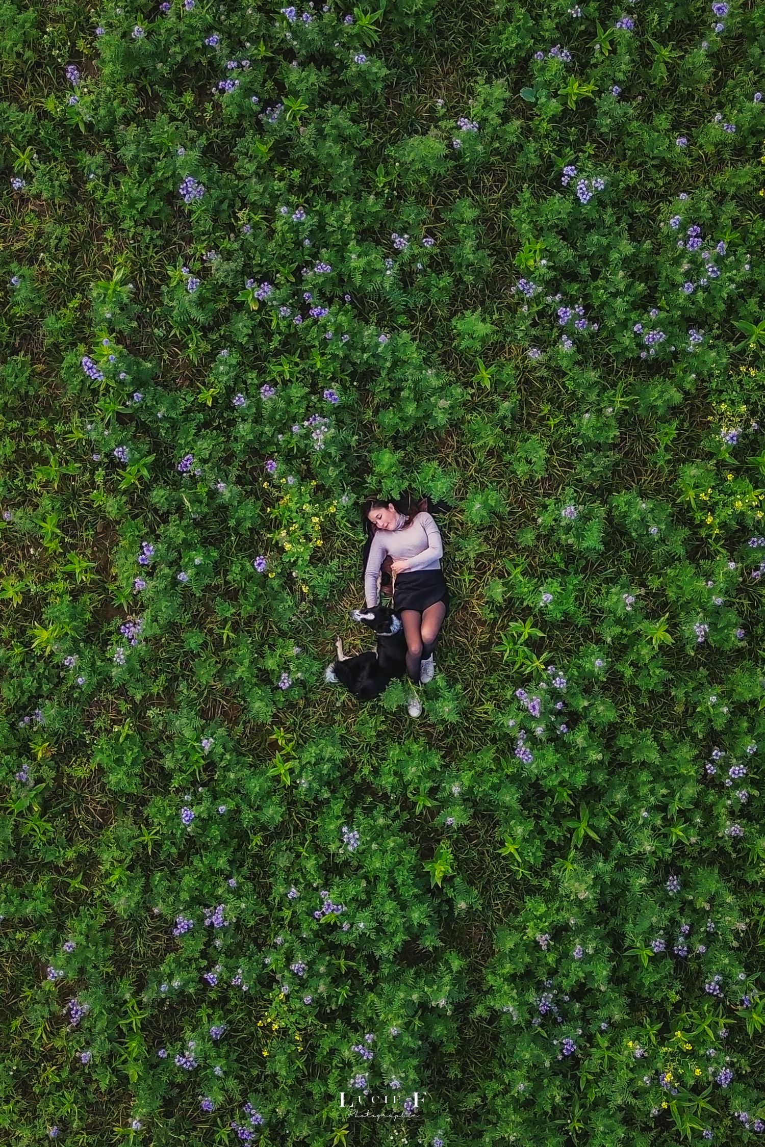 Two people lay on a bed of green foliage and flowers while taking photos from above.