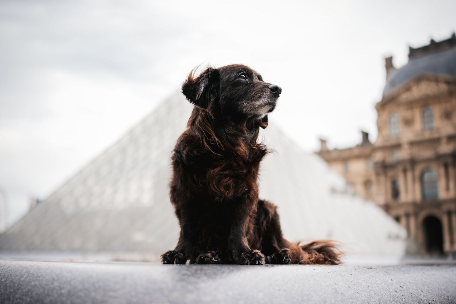 Séance photo au Louvre, à Paris