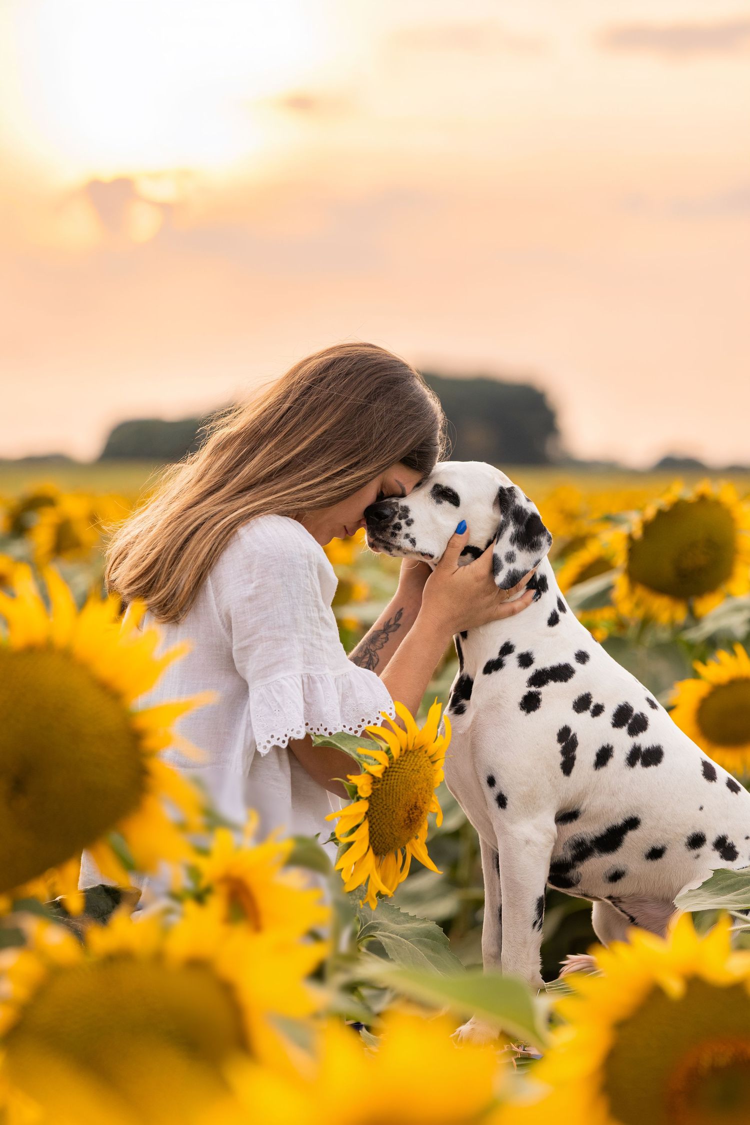 Young woman in white dress nuzzling a Dalmatian dog in a sunflower field at golden sunset.