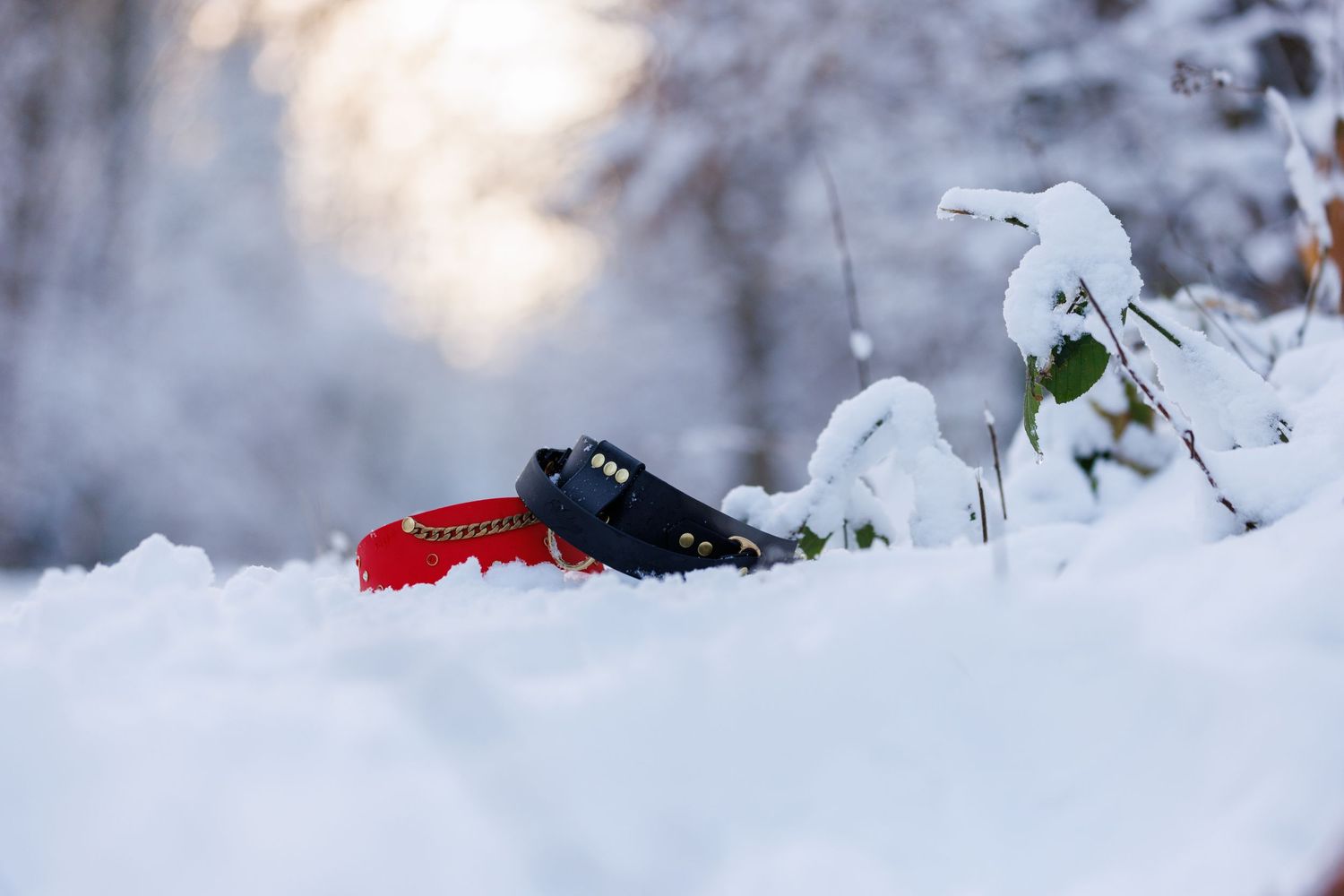 A small red cardinal bird perched on a snowy branch during winter.