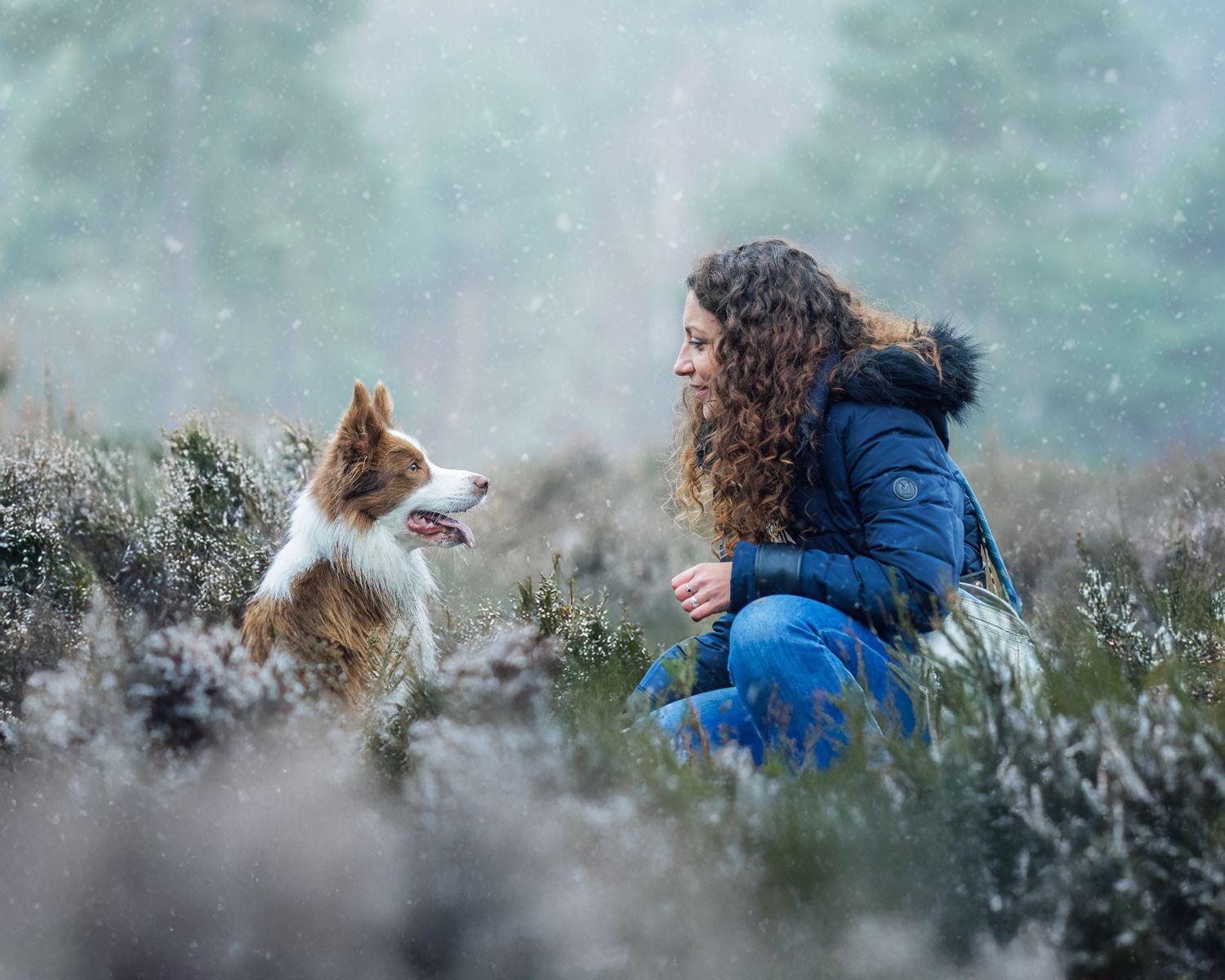 A person and their dog play together in tall grass during a snowy winter day.