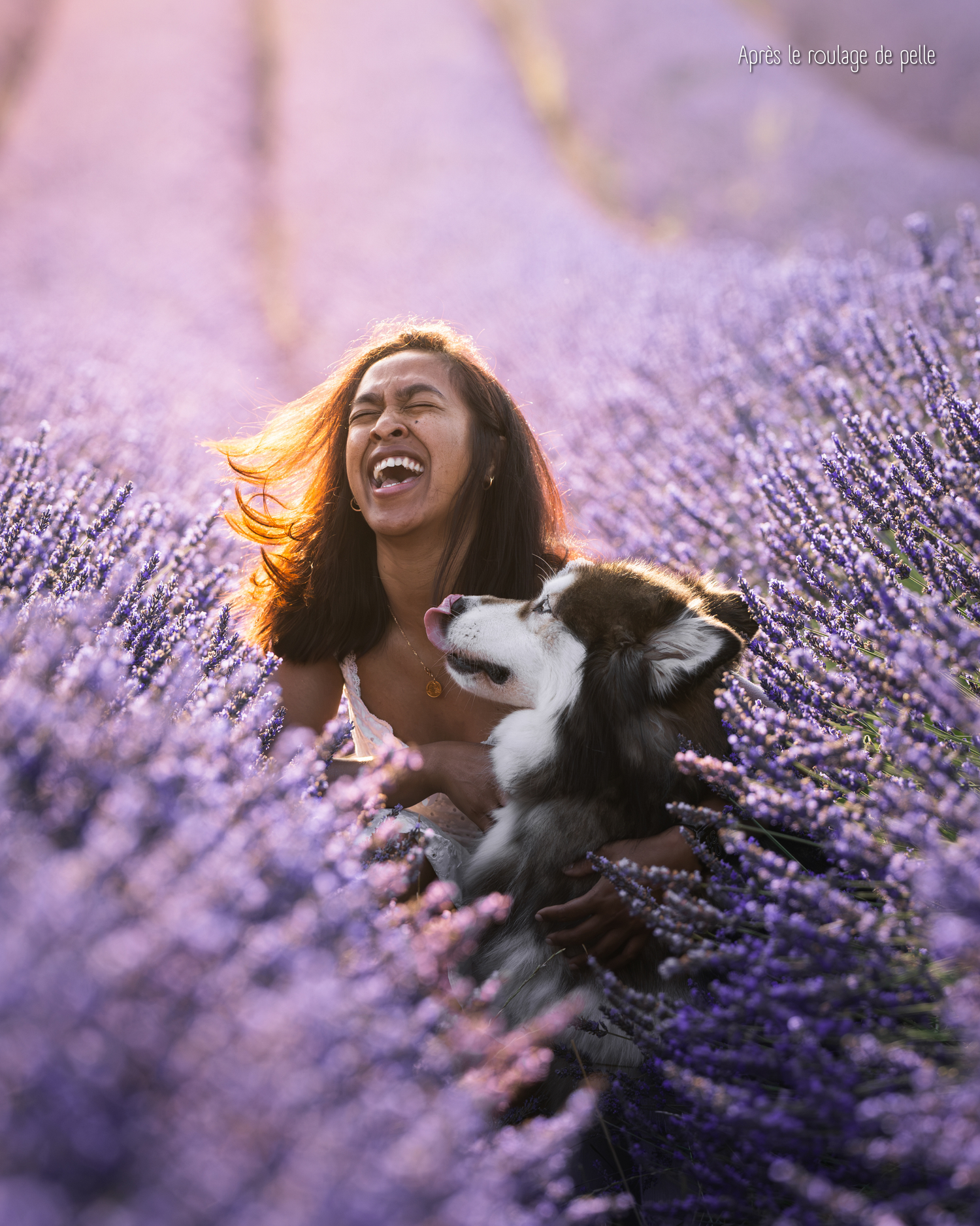 A joyful woman laughs while hugging a Husky dog in a vibrant purple lavender field at golden hour.
