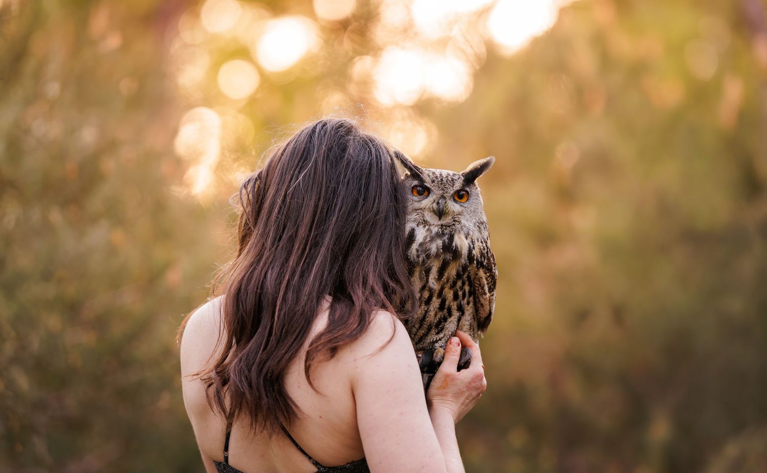 A young woman with long brown hair holds a majestic owl on her shoulder outdoors in golden light.