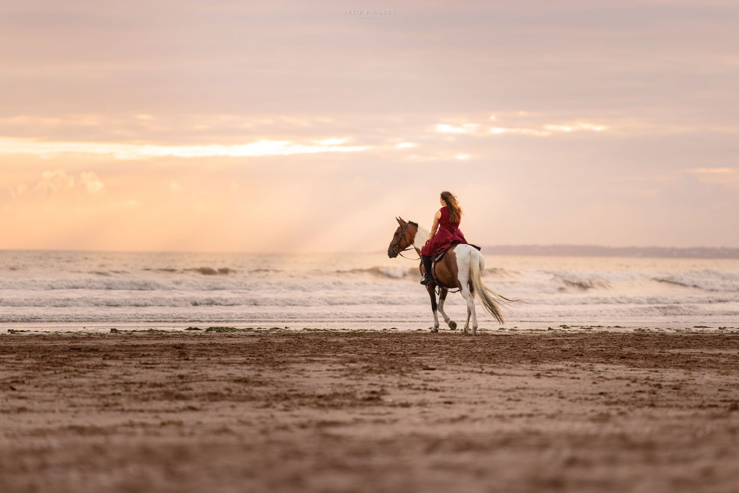 Person in red riding a white horse on a sandy beach at sunset with ocean waves in the background.