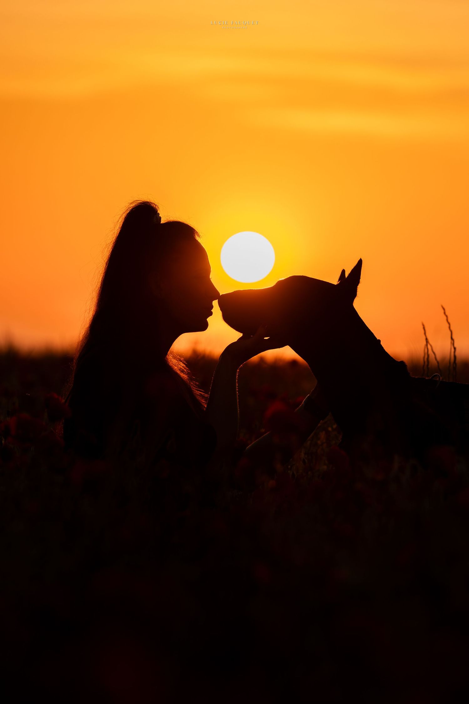 Silhouette of a woman and dog touching noses at golden sunset in a field.