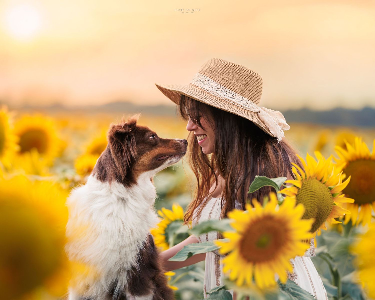 A smiling woman in a sun hat shares a tender moment with her dog in a golden sunflower field at sunset.