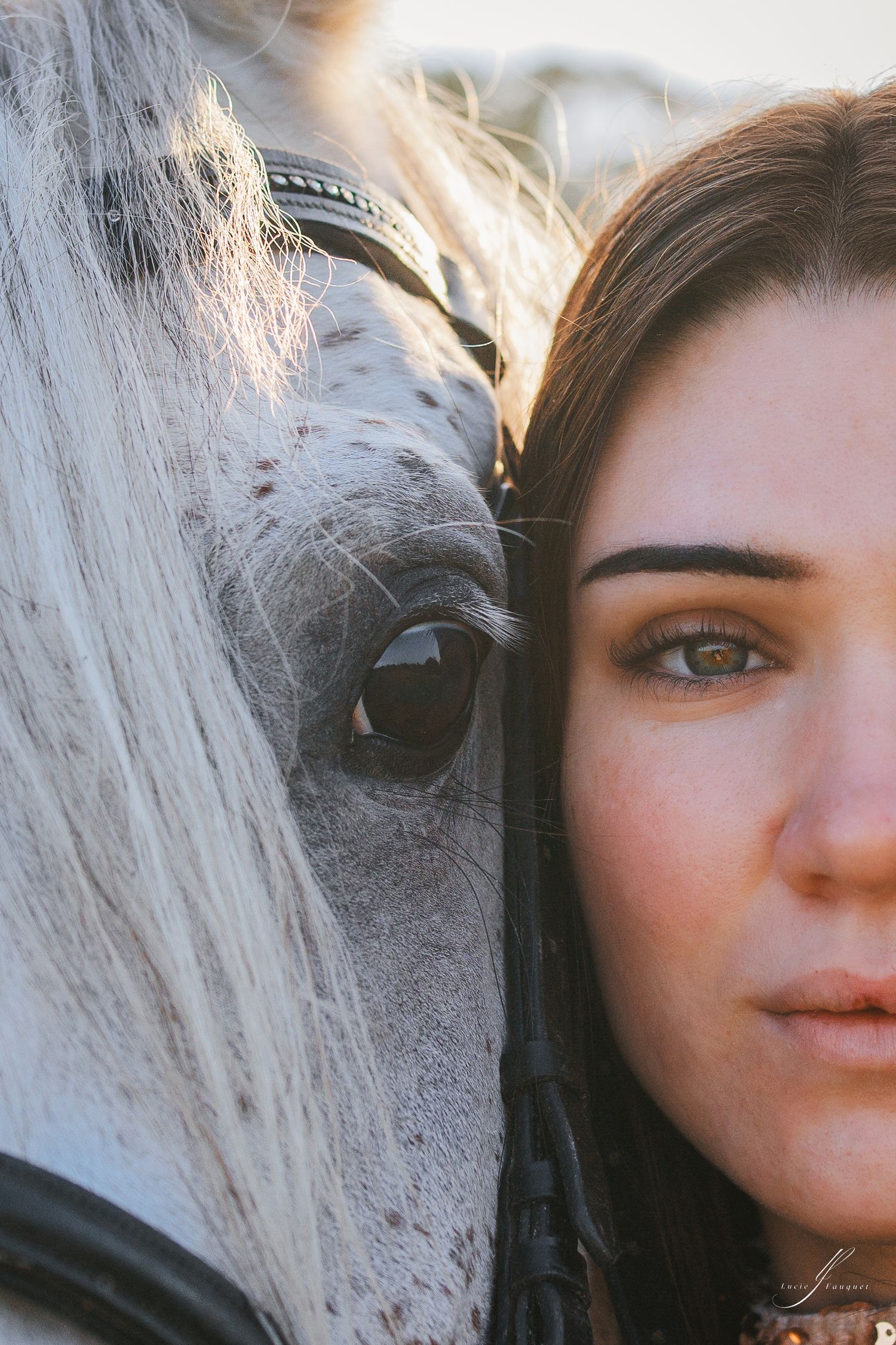 Close-up artistic photo showing half of a horse's eye and face alongside a person in soft natural lighting.