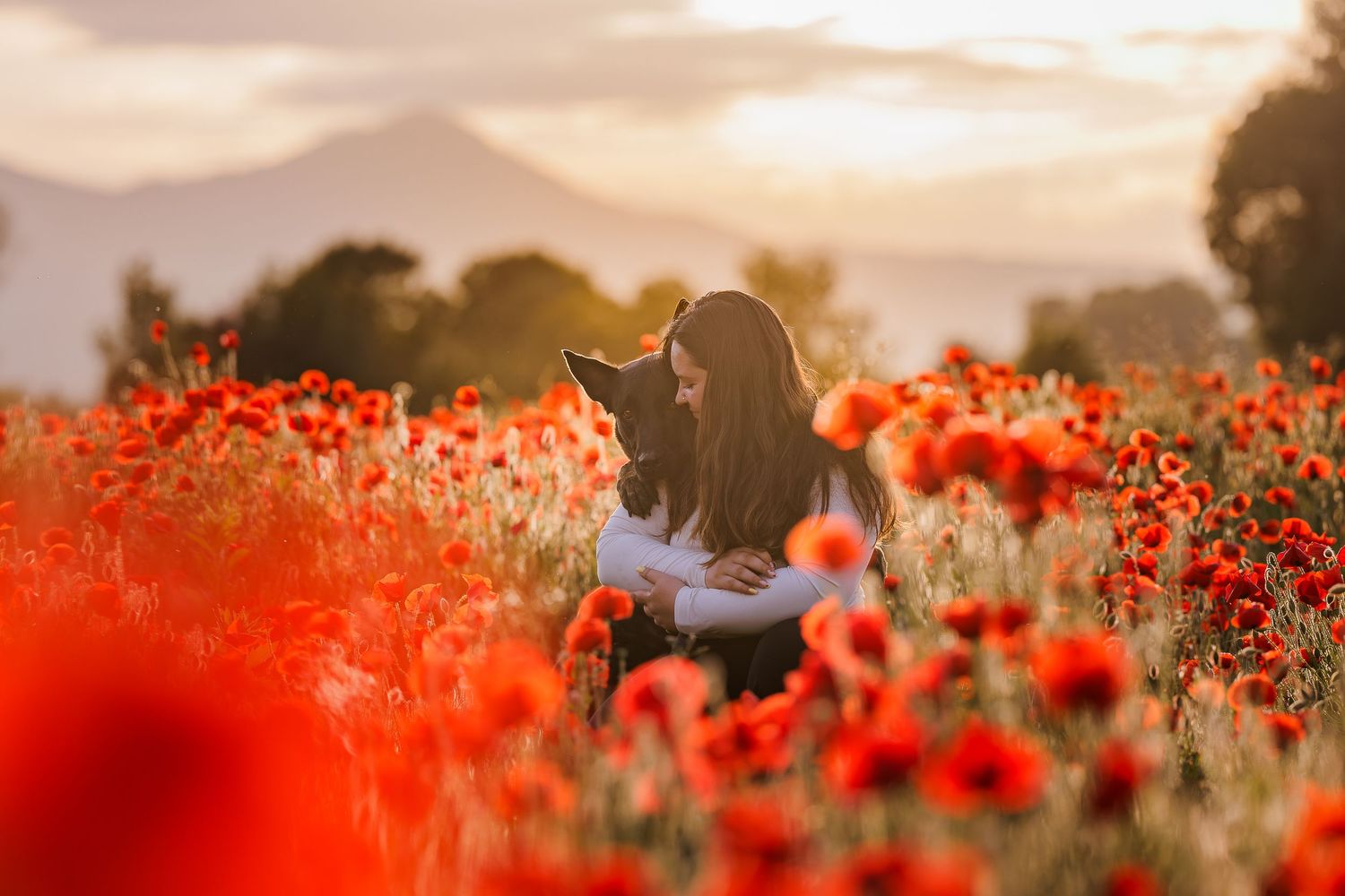 A woman sits in a vibrant red poppy field at golden sunset with mountains in the background.