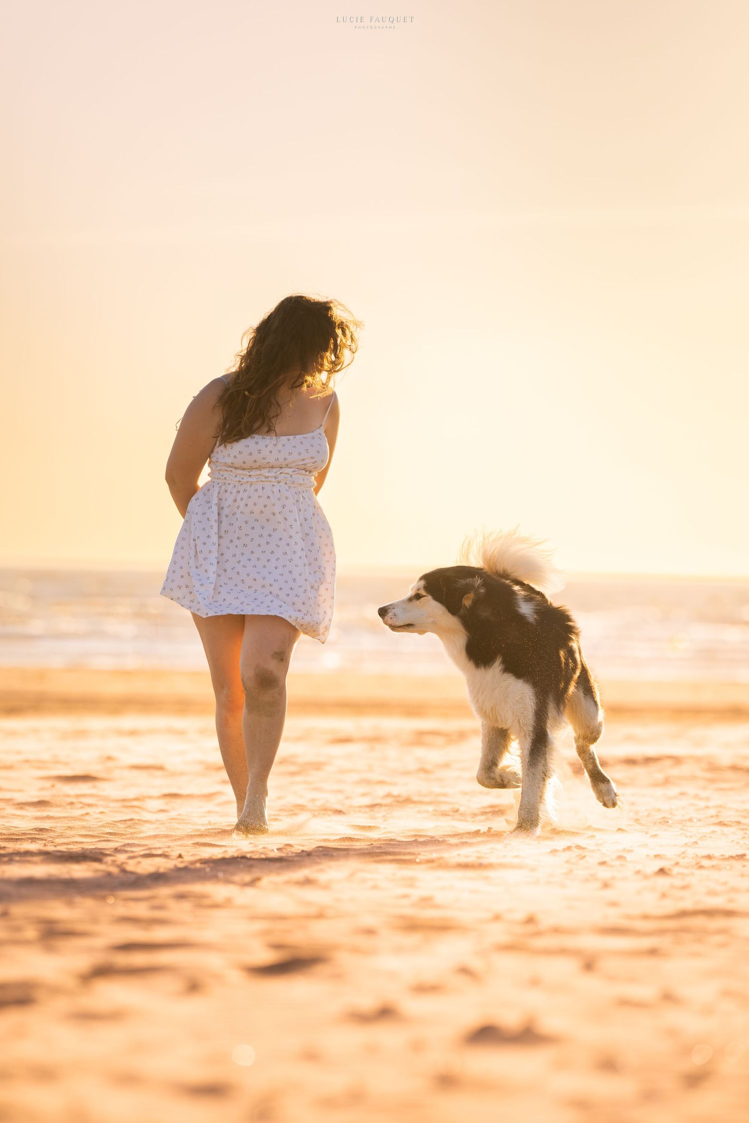 Woman in white dress walking with a Border Collie dog on a sandy beach at golden sunset.
