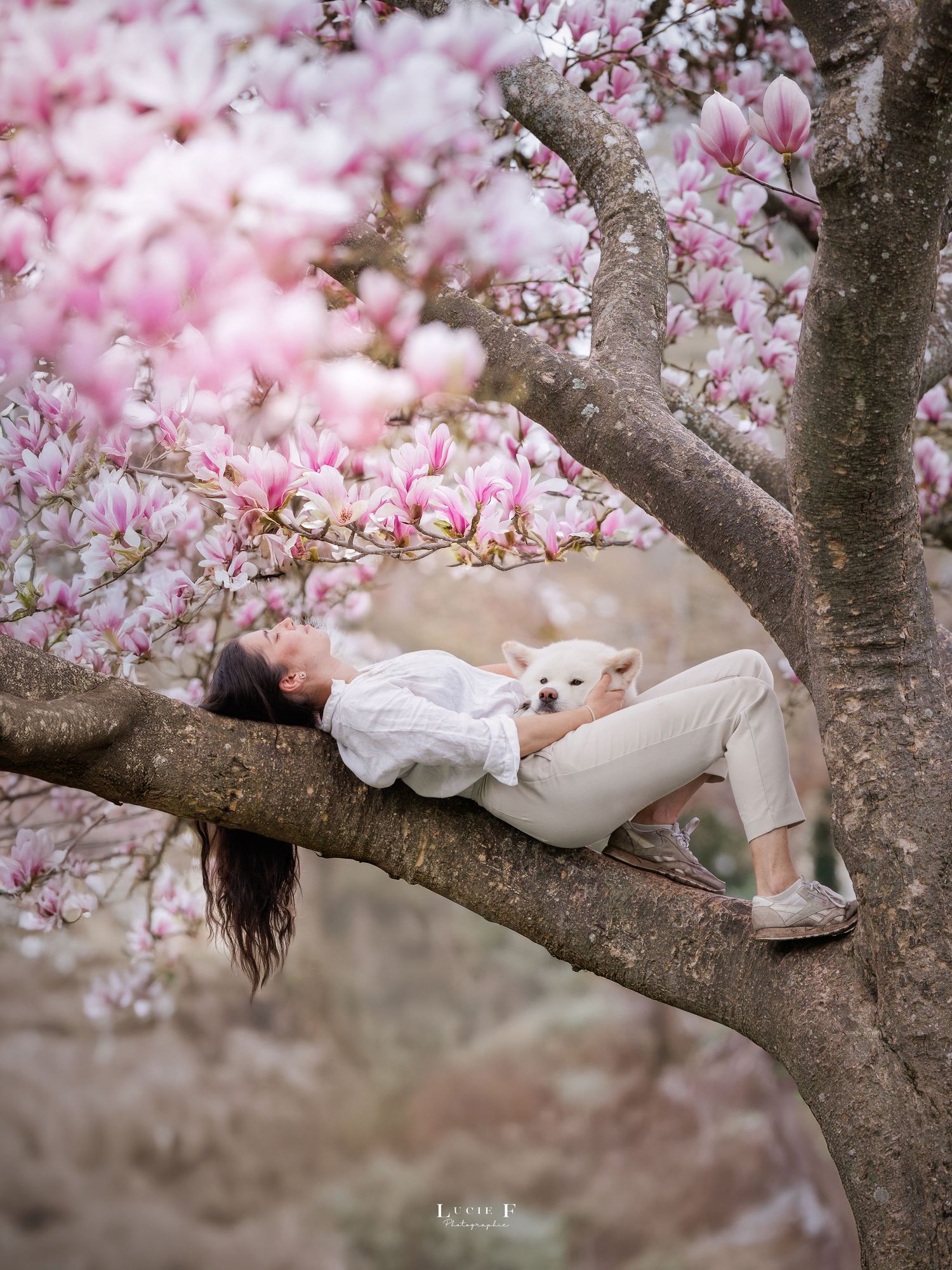 A dreamy scene of pink magnolia blossoms framing a peaceful figure resting on a tree branch in soft spring light.