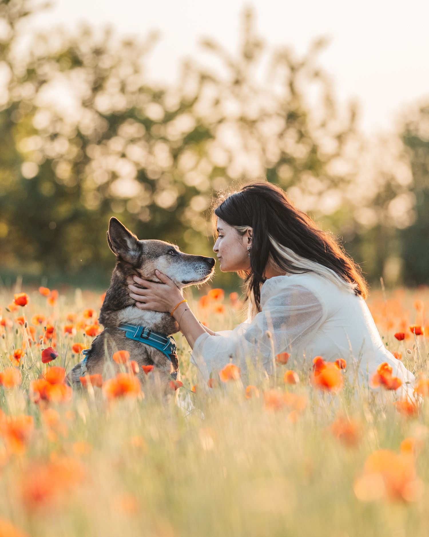 Séance photo dans les coquelicots en Essonne