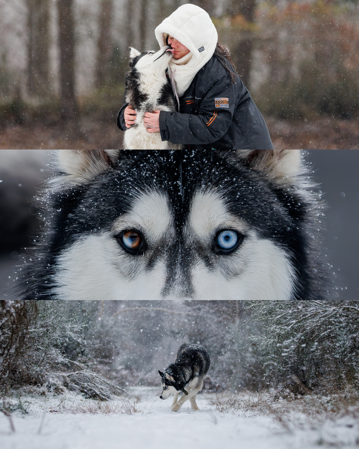 A woman in a white hoodie embraces a Siberian Husky outdoors, with a close-up of the dog's striking blue eyes and a snowy forest scene.