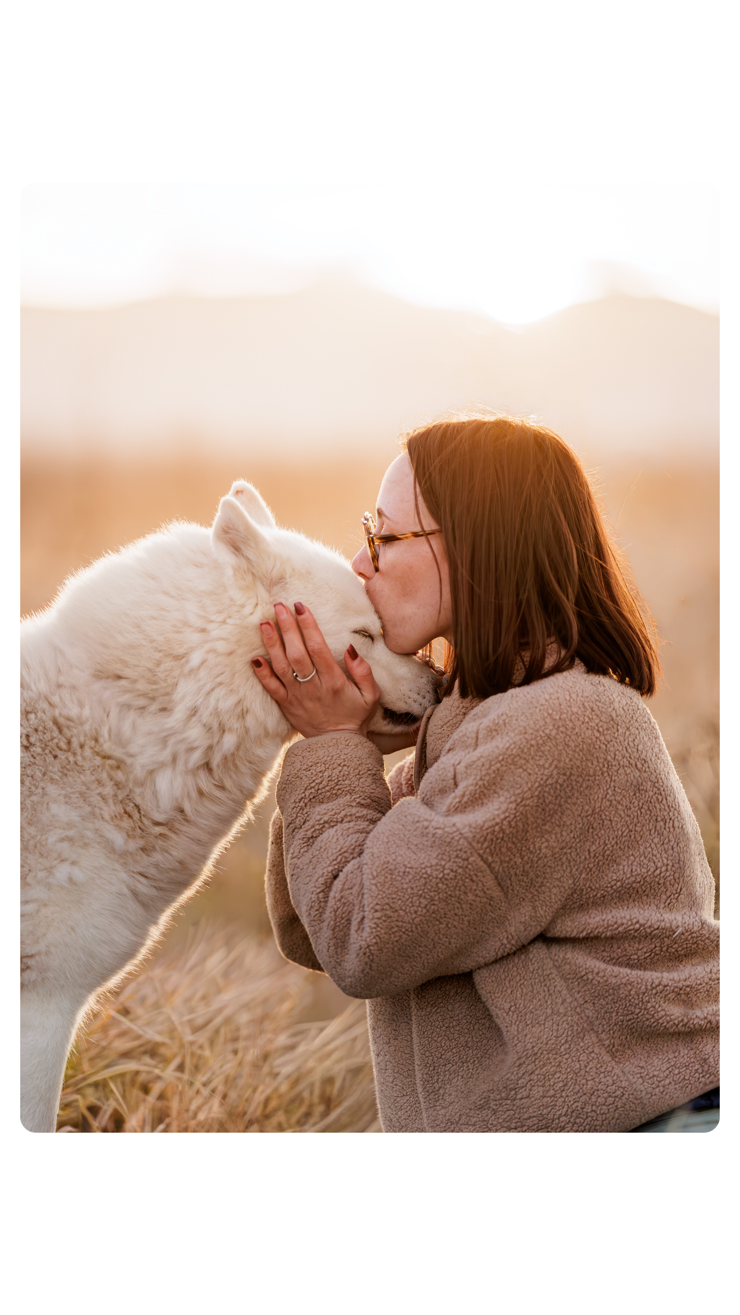 A woman with red hair kisses her fluffy white dog in a golden field during sunset.
