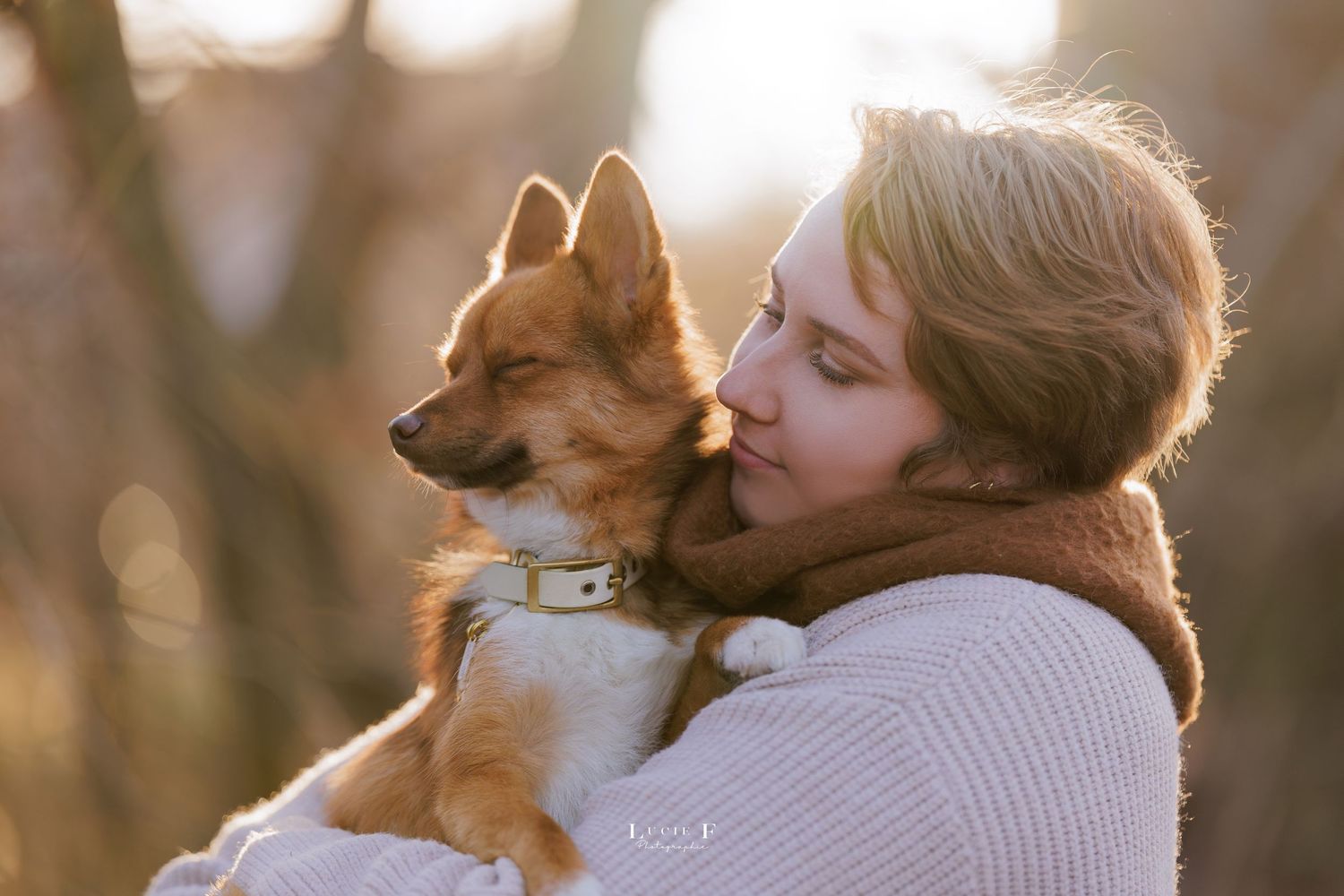 A dog and person share an affectionate moment in golden sunlight while outdoors.