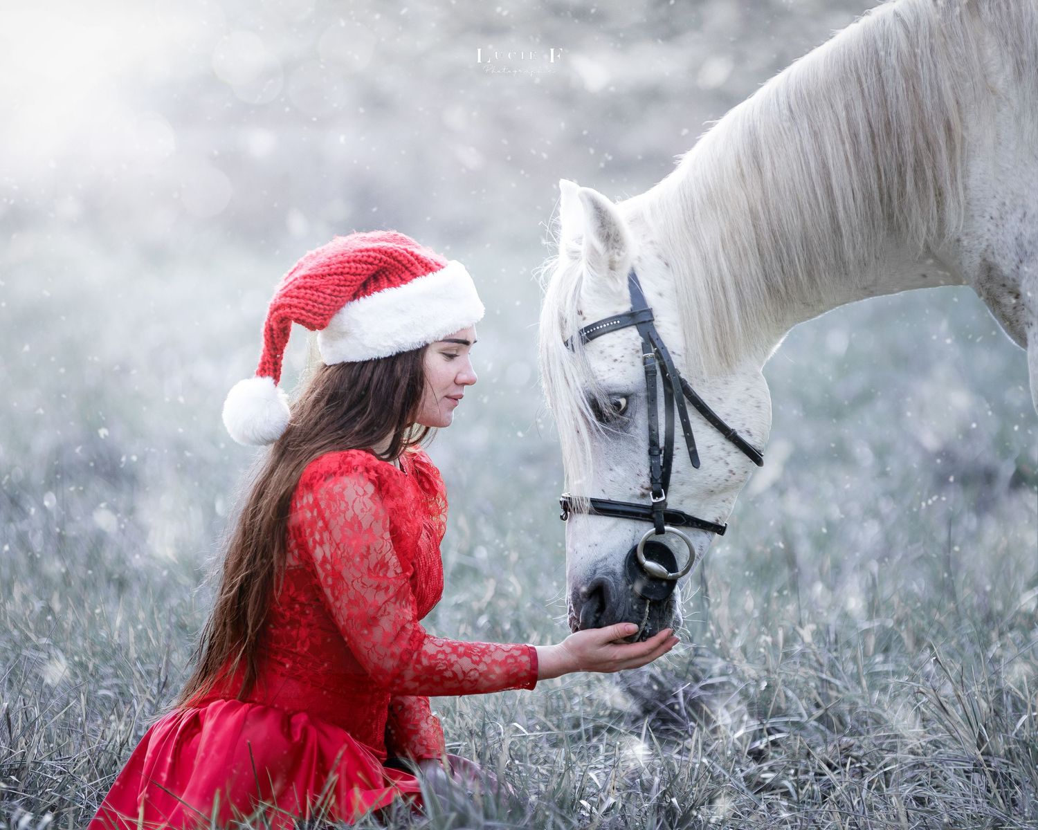 A person in a bright red dress crouches near a white horse in a misty field, creating a dreamy outdoor scene.