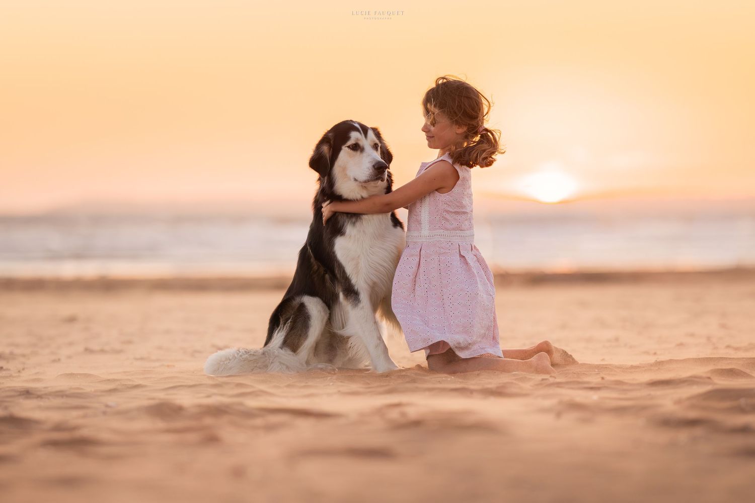A young girl in a pink dress pets a Husky dog on a sandy beach at golden sunset.