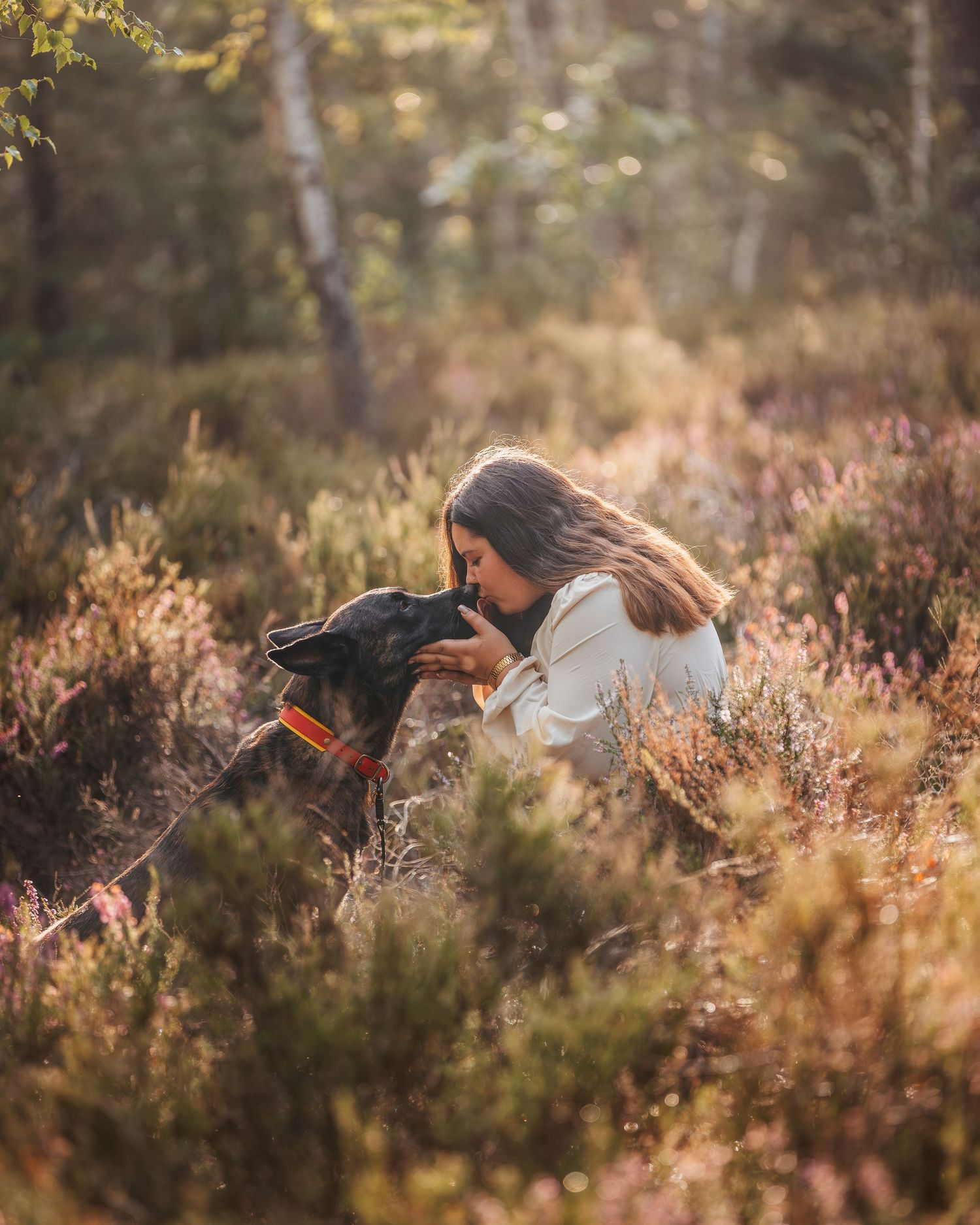 Dog running through autumn heather field in soft golden light.