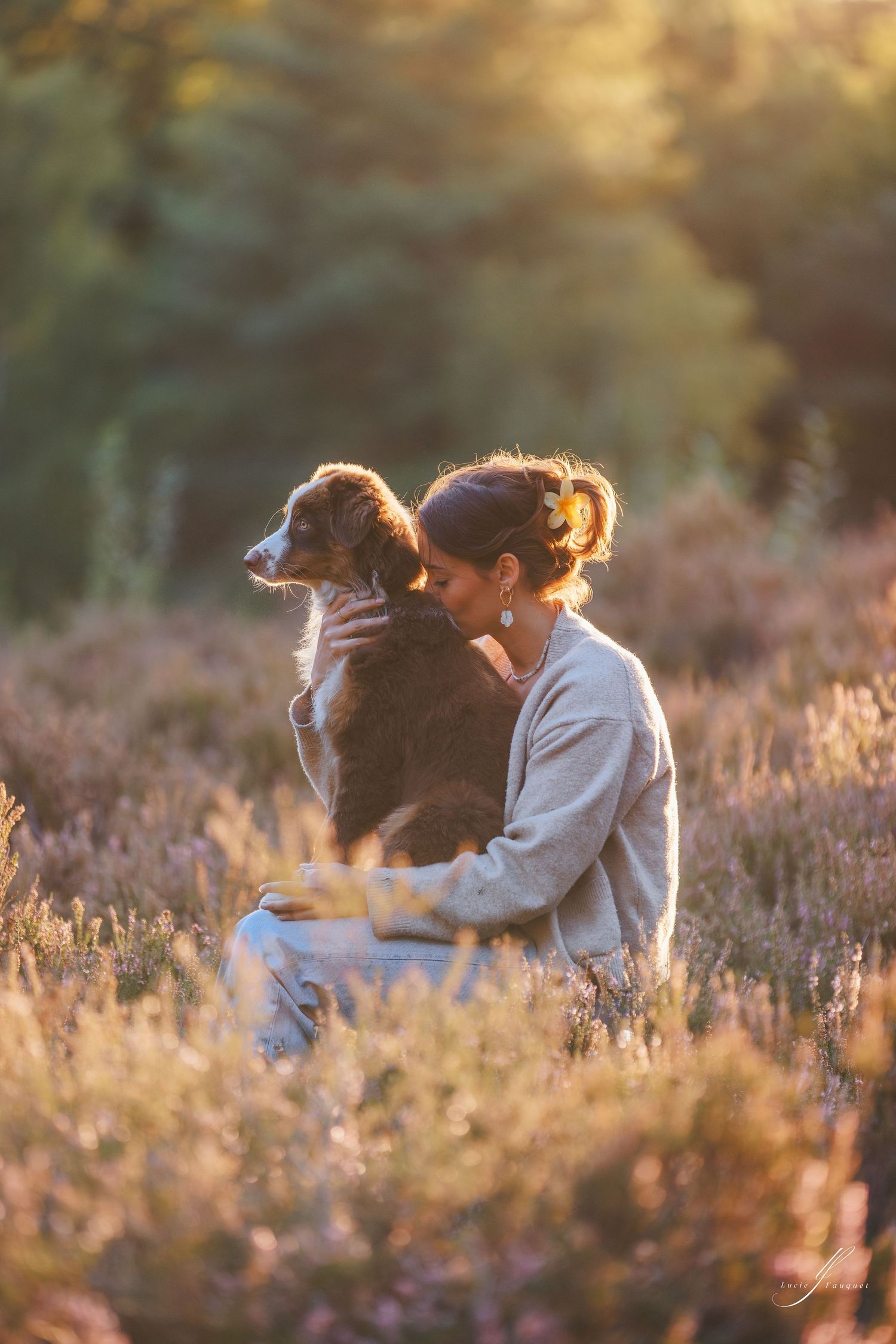 Person and dog sitting together in golden sunlit field of heather during sunset.