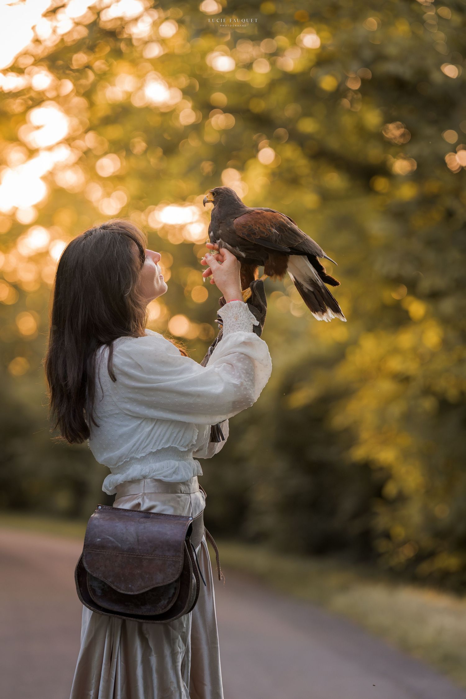 Woman in white blouse holds a Harris hawk aloft on her gloved hand outdoors during golden hour.