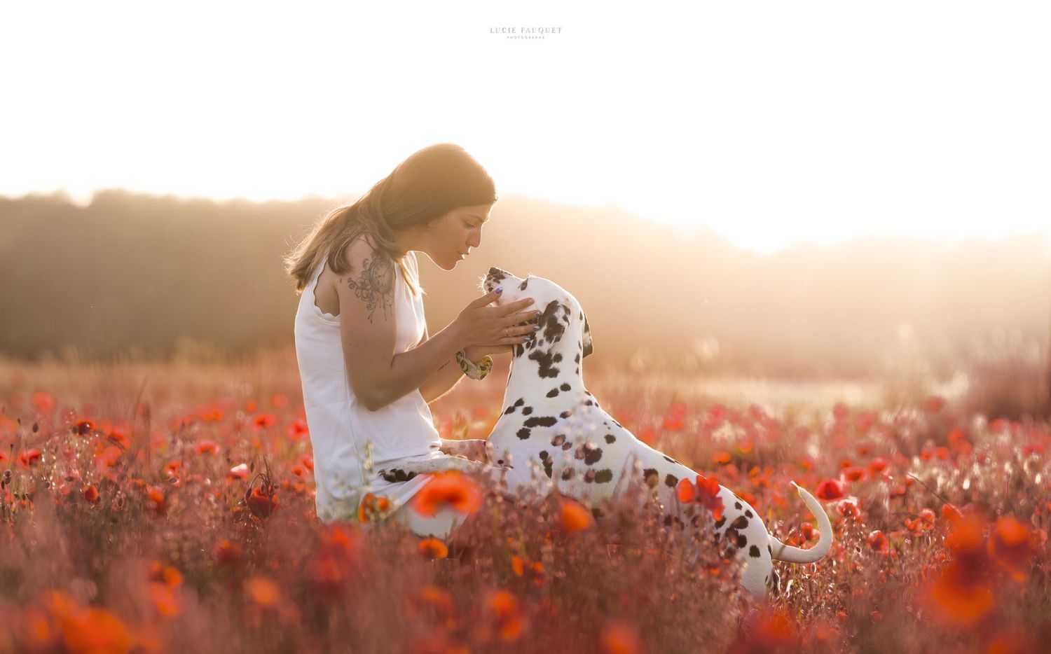 Woman in white dress bonding with Dalmatian dog in a sunlit field of red poppies at golden hour.