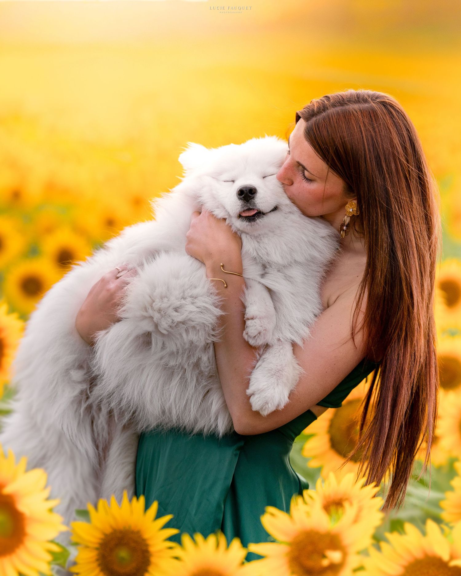 Woman in green dress holding fluffy white Samoyed puppy in a vibrant sunflower field with golden light.
