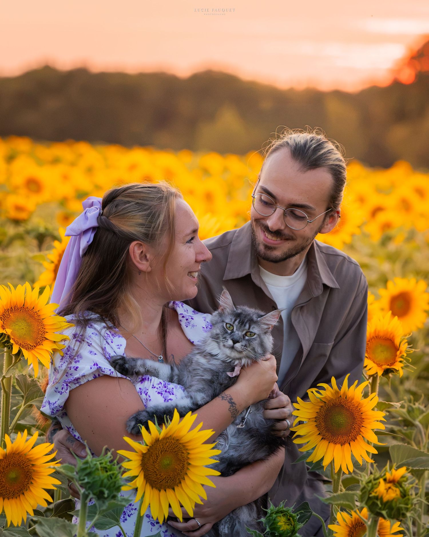 Couple holding a gray cat in a vibrant sunflower field at golden hour sunset.