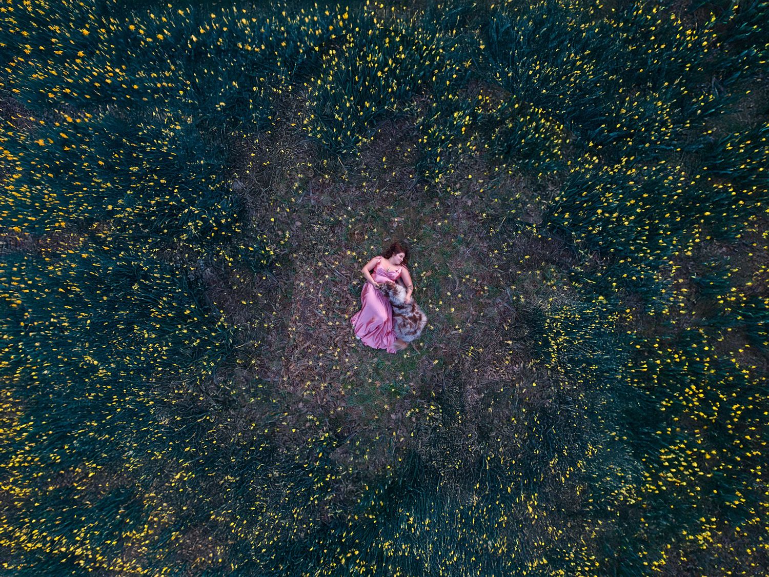 Aerial view of a woman in a pink dress lying in a lush green field dotted with small yellow wildflowers.
