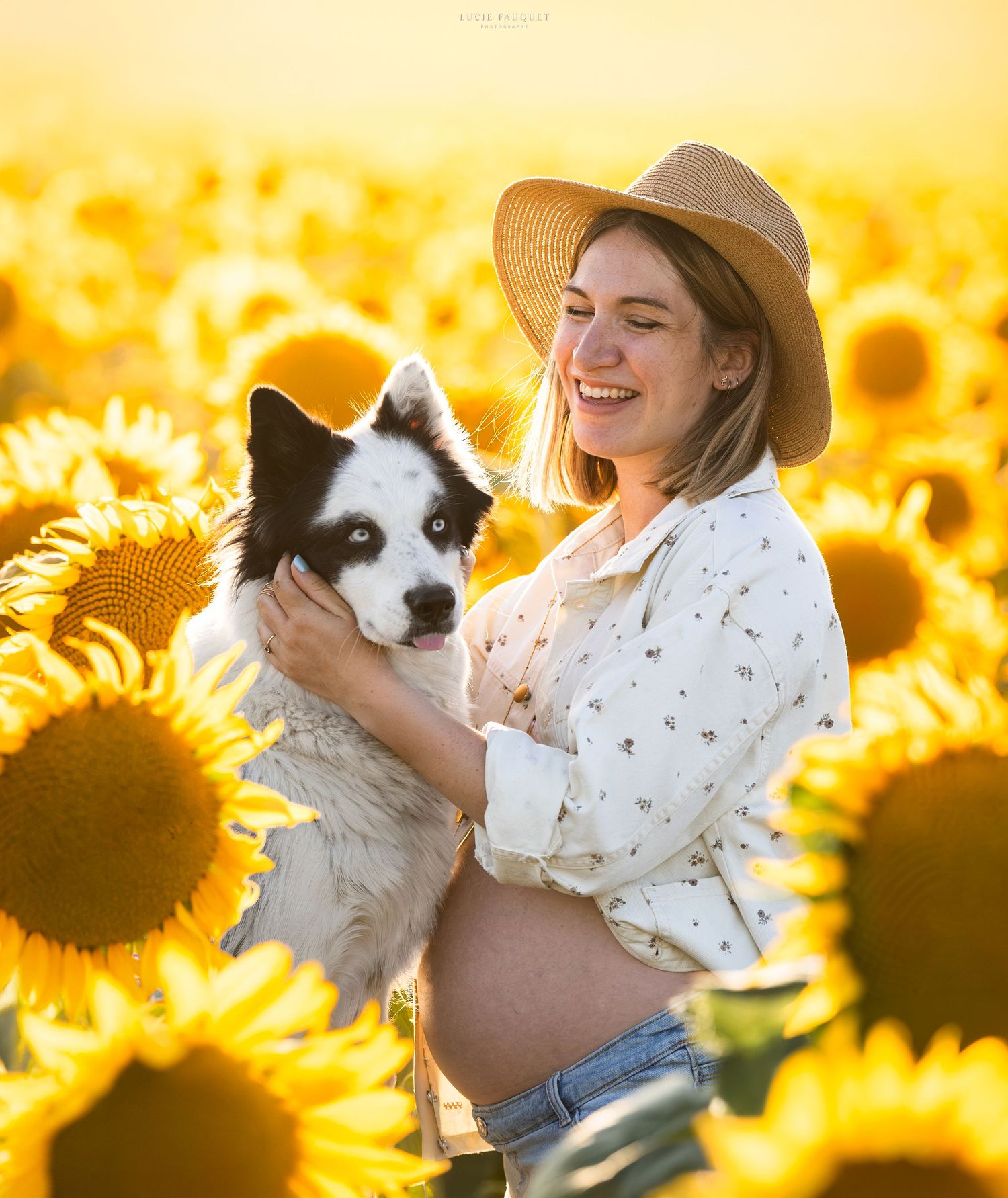 Pregnant woman in straw hat holding black and white dog in a golden sunflower field at sunset.