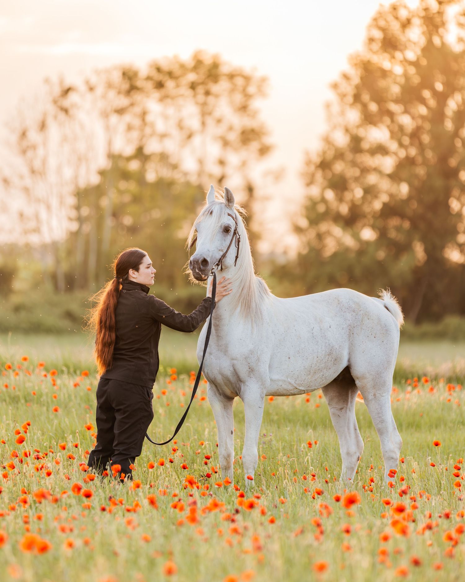 Séance photo dans les coquelicots en Essonne